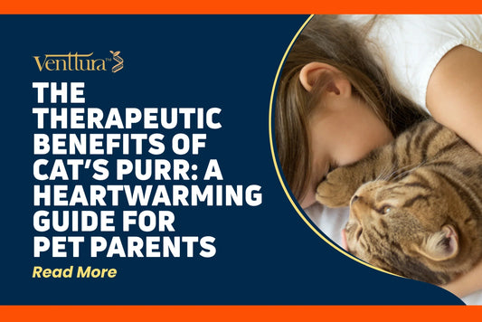 The Therapeutic Benefits of a Cat’s Purr – child bonding with cat for emotional comfort by venttura biceuticals