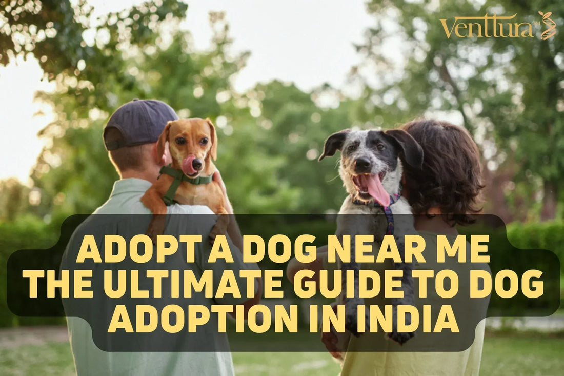 Adopt a Dog Near Me: The Ultimate Guide to Dog Adoption in India 🐶
