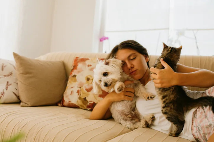 How to Prepare for a New Pet: A Complete Guide for First-Time Pet Parents