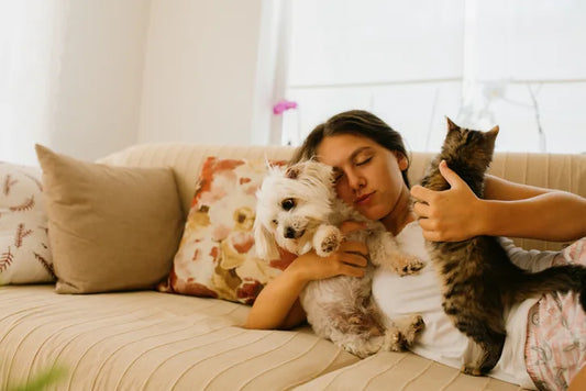 How to Prepare for a New Pet: A Complete Guide for First-Time Pet Parents