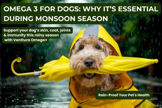 Cute dog wearing a yellow raincoat and holding an umbrella – promoting monsoon care and benefits of omega 3 for dogs.