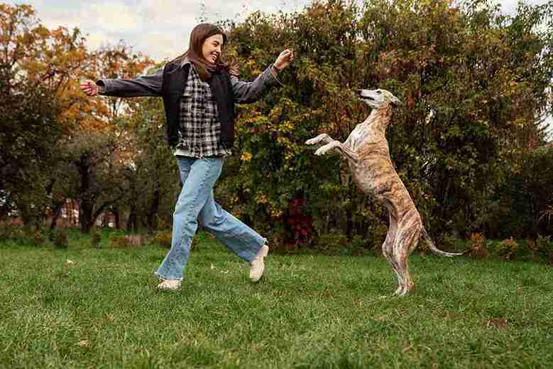 A woman engages in play with her dog on lush grass, highlighting their companionship and joyful moments together. top 10 best dog supplements by venttura bioceuticals