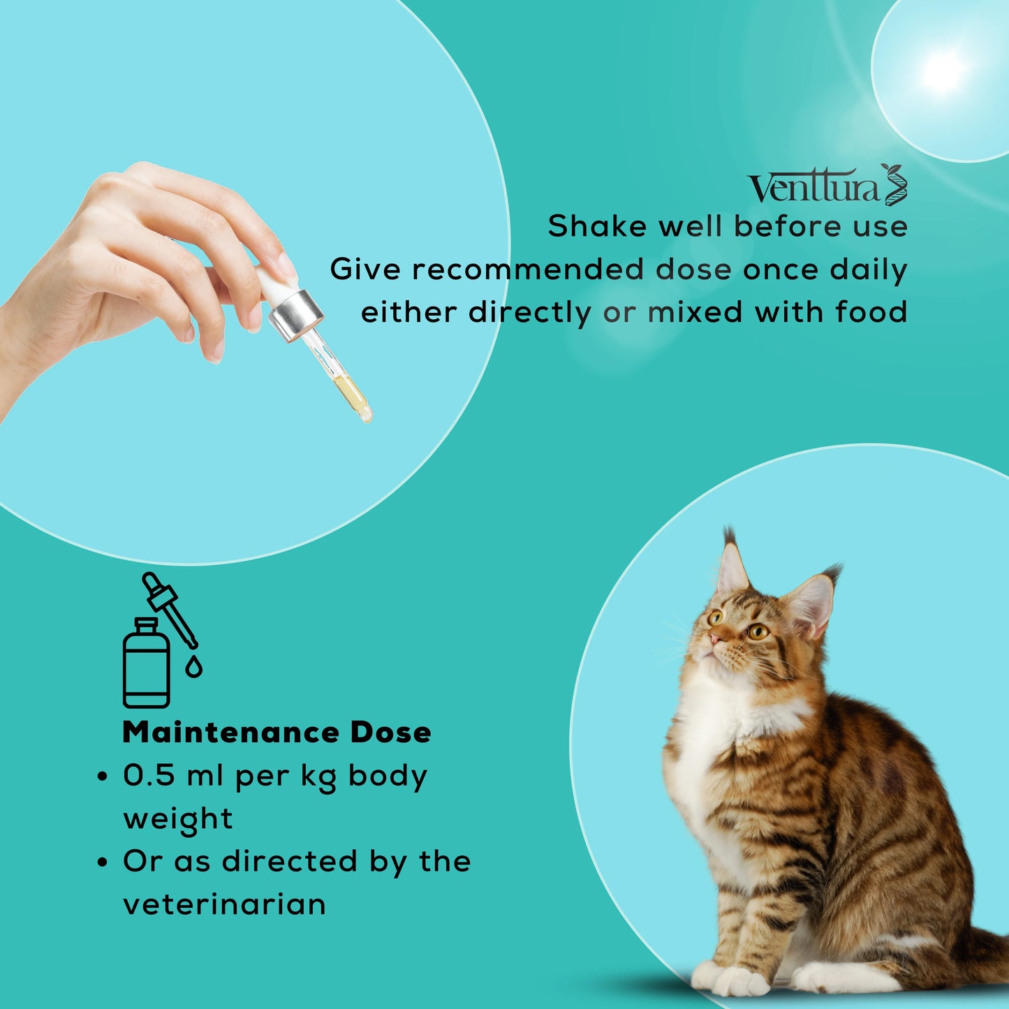 Venttura Amino+ Cat Supplement slide featuring usage directions: 'Shake well before use. Give recommended dose once daily either directly or mixed with food.' Includes maintenance dose of 0.5 ml per kg body weight or as advised by the vet.