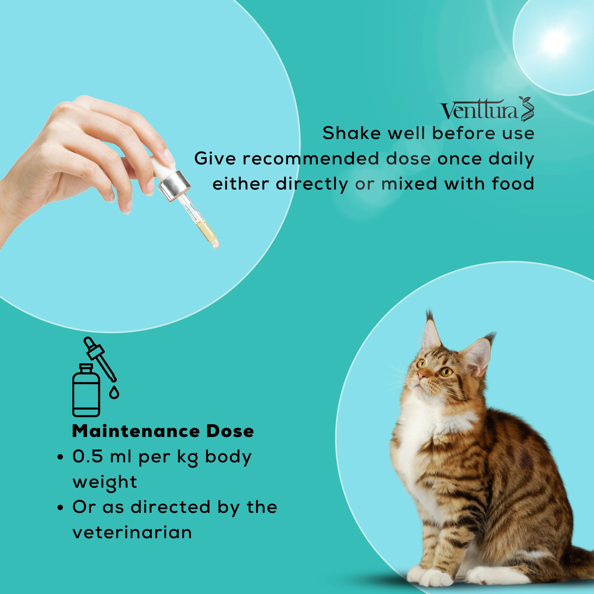 Venttura Amino+ Cat Supplement slide featuring usage directions: 'Shake well before use. Give recommended dose once daily either directly or mixed with food.' Includes maintenance dose of 0.5 ml per kg body weight or as advised by the vet.