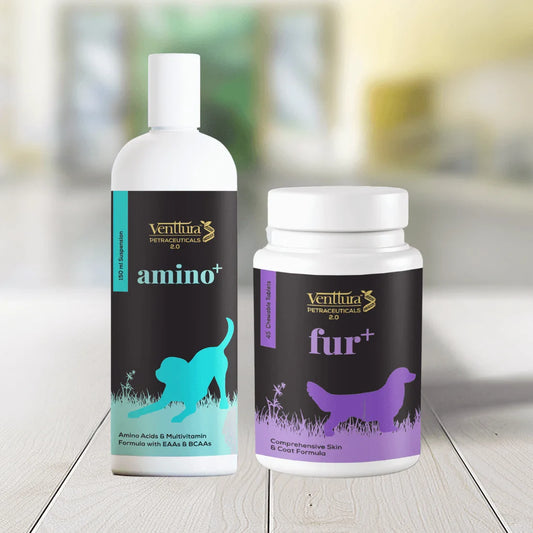 Amino+ and Fur+ supplements for dogs - a comprehensive solution for better muscle strength, healthy fur growth, shiny coat, and improved skin health