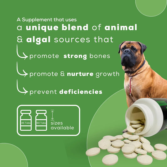 Calci+ Pro calcium supplement for dogs, designed to promote strong bones, healthy growth, and prevent deficiencies with a blend of absorbable calcium and essential nutrients