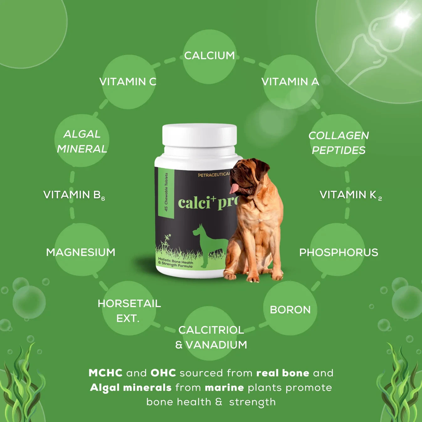 calci+ pro a calcium supplement for dogs for strong bones, Better growth, Prevents deficiencies