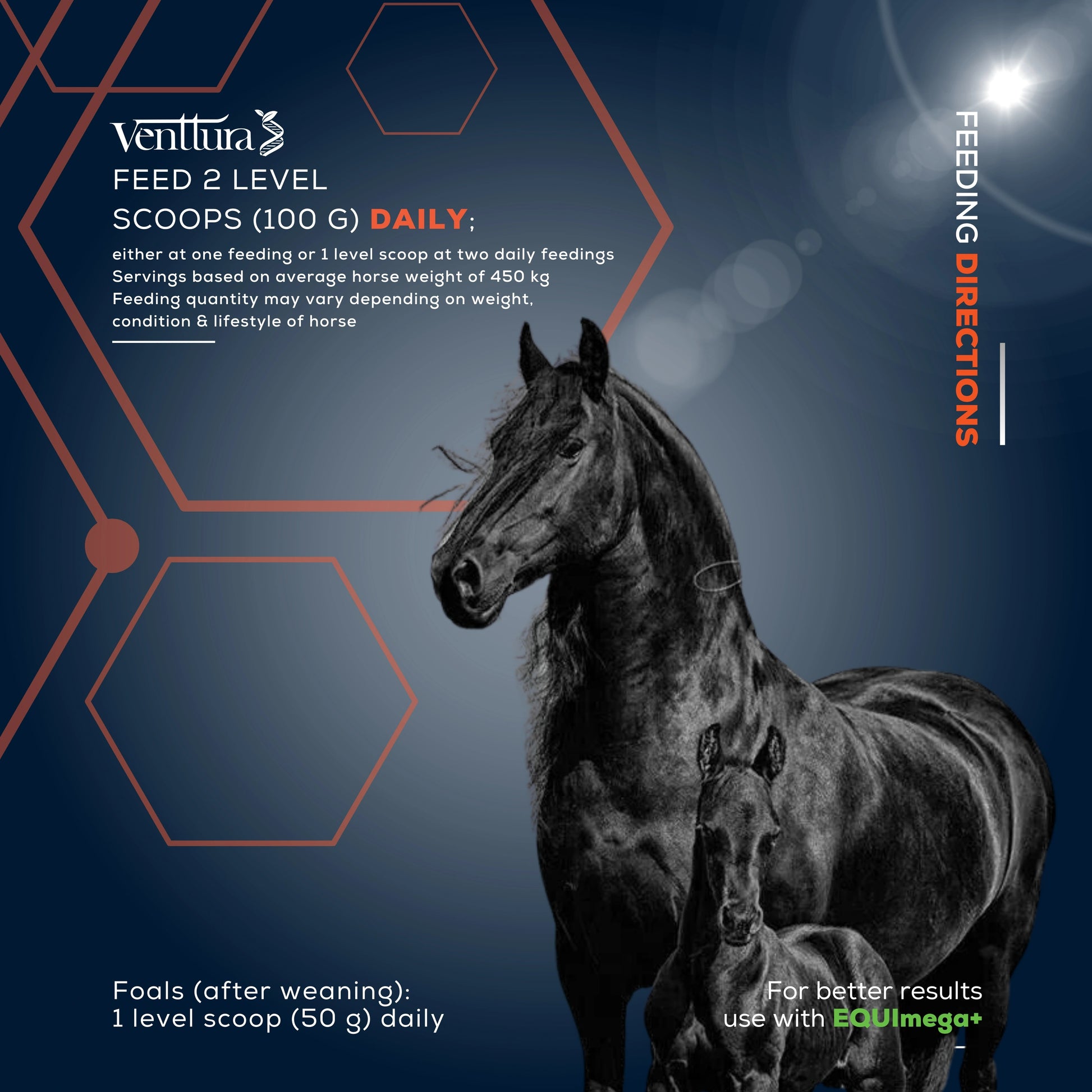 EQUIhance+ horse supplement can by Venttura Biocueticals, a holistic formula designed to support growth, performance, joint health, and overall well-being in horses."
