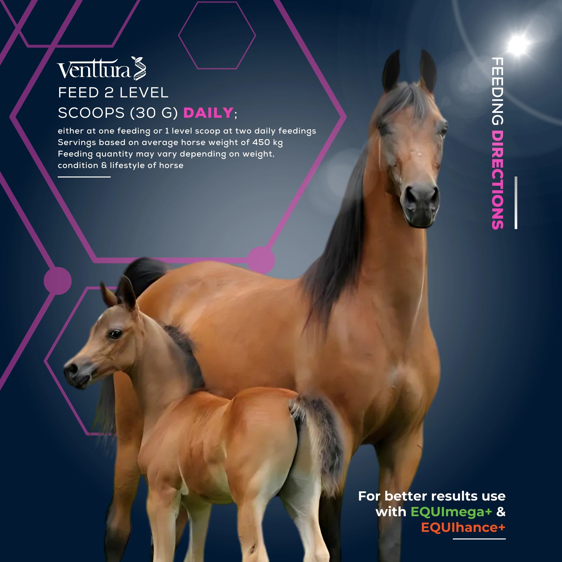 "EQUIlac+ supplement can by Venttura Biocueticals with benefits overlay, showcasing lactation support, improved milk quality, and uterine health for nursing mares.