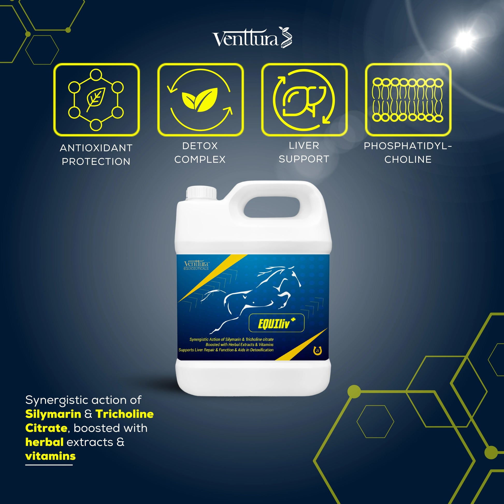EQUIliv+ supplement can by Venttura Biocueticals surrounded by key benefits, such as liver detox, repair, bile production support, and digestive health for horses.