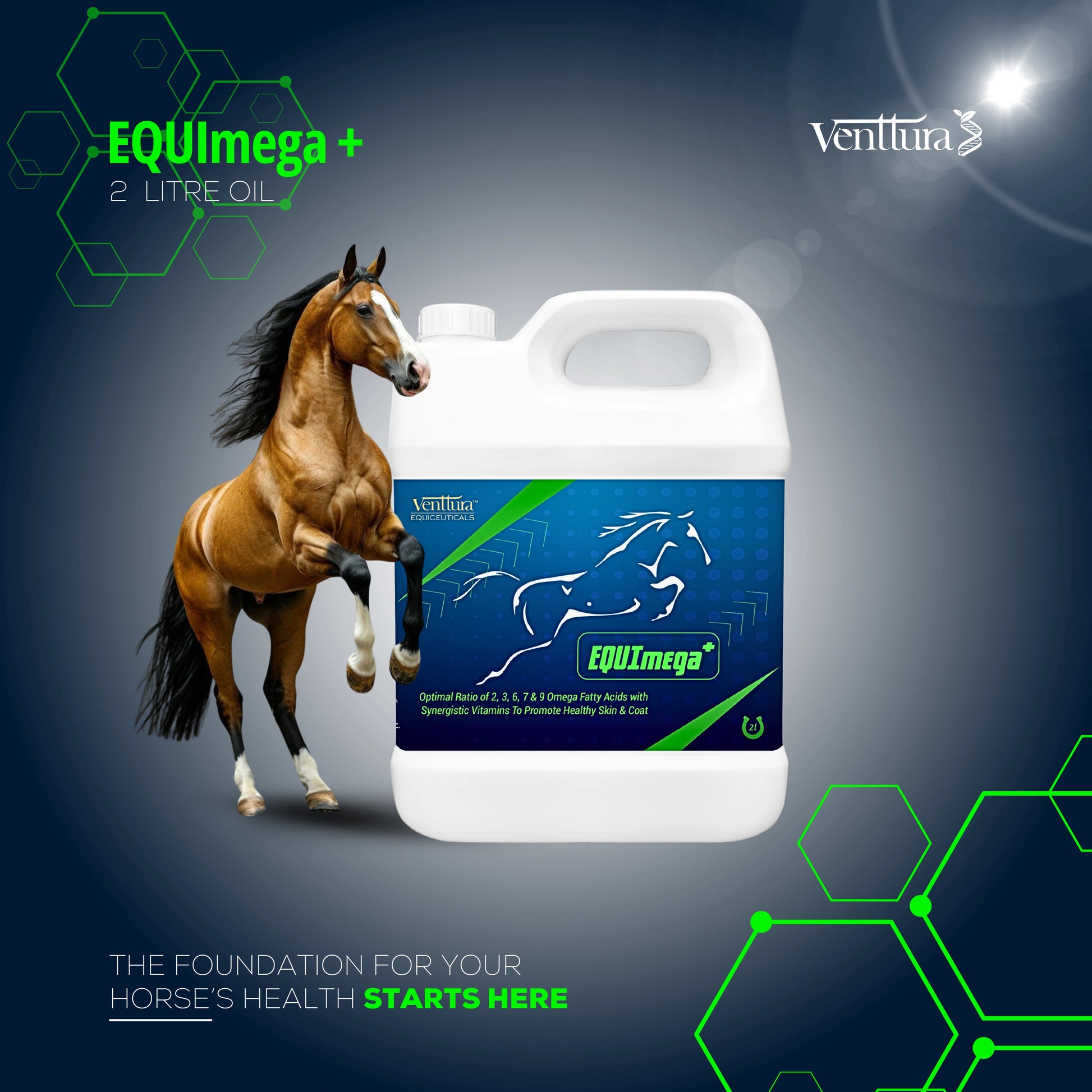 Equimega+ best horse supplement by venttura biocueticals
the foundation for your horse health starts here