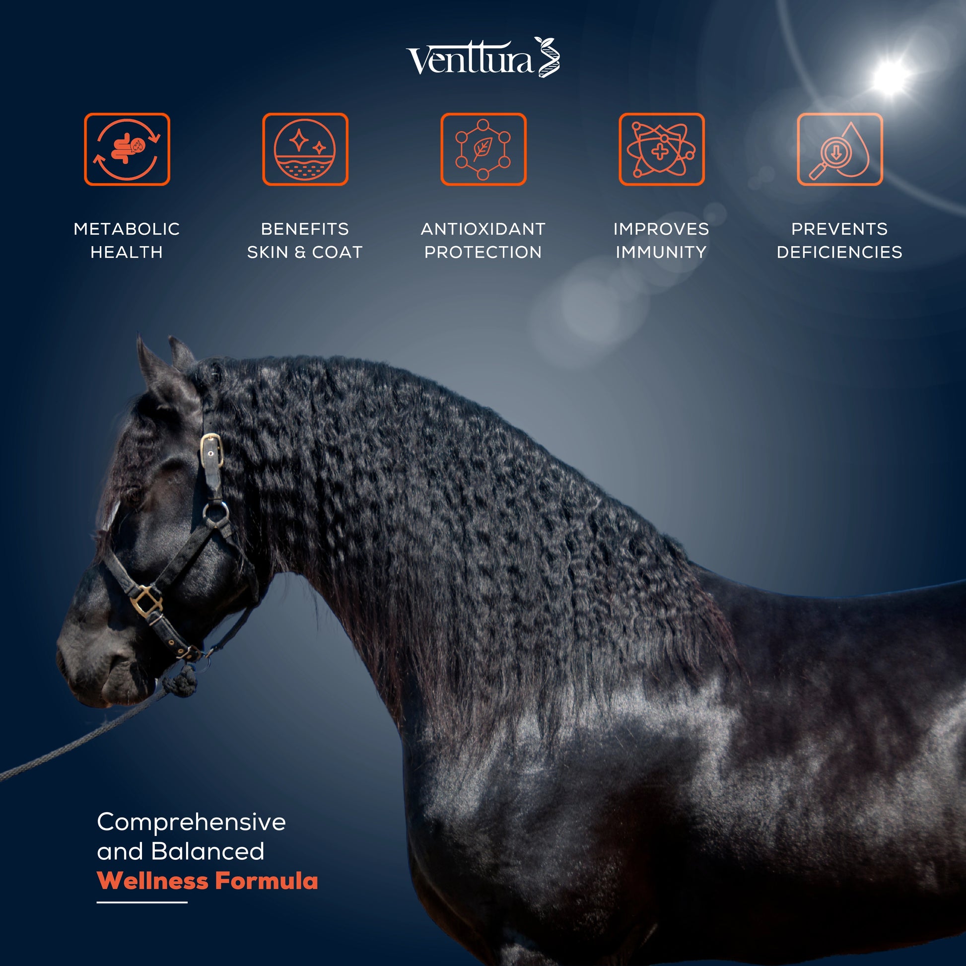 horse supplement helps in metabolic health anad benefits skin and coat and antioxidant protection, improves immunity of the horse, prevents deeciences a comprehensive and balanced wellness formula for horses