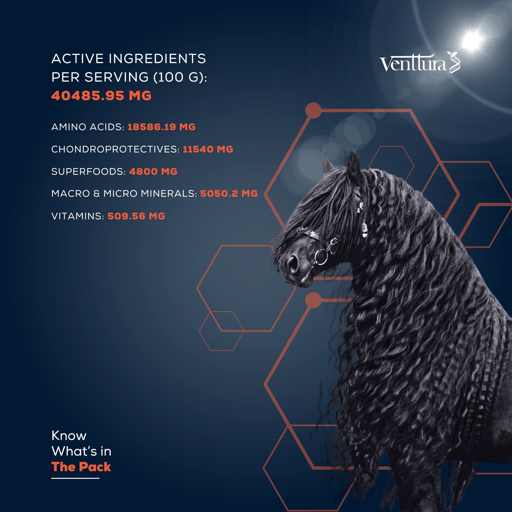 Equihance horse supplement ingredients chat by venttura bioceuticals