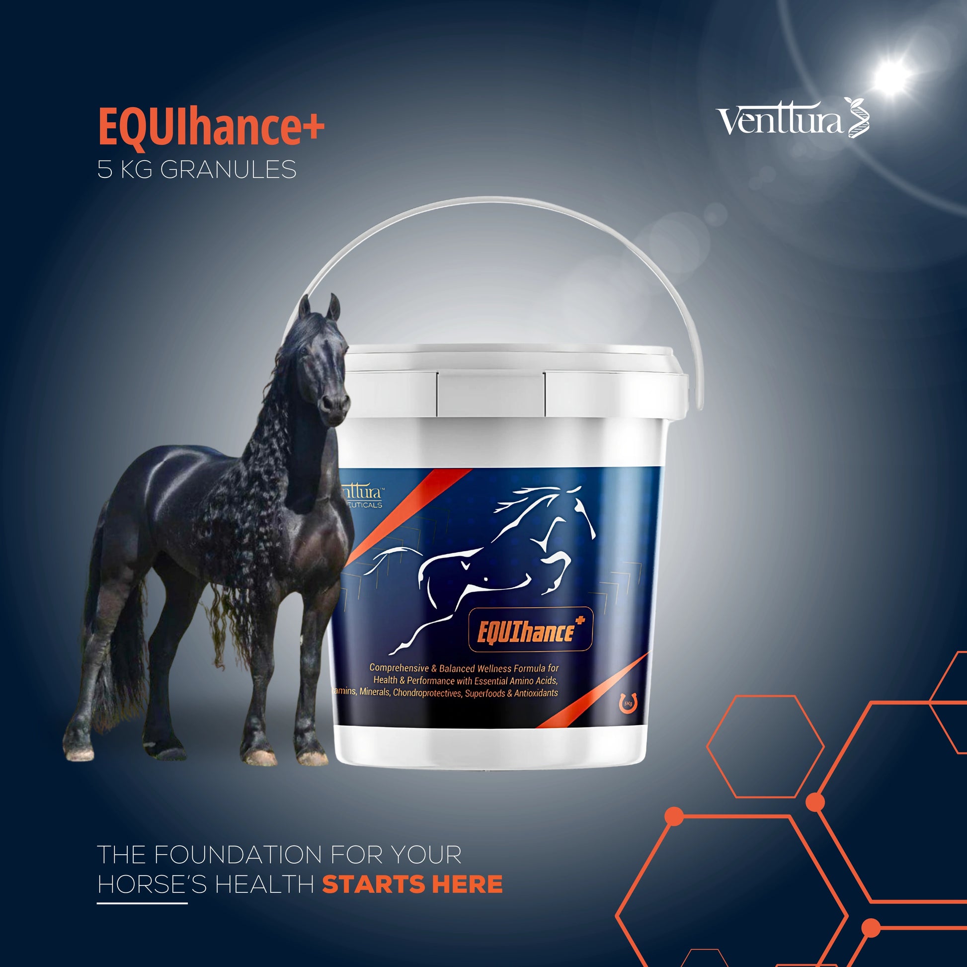 a black shiny horse standing next to equihance supplement can of 5kg by venttura bioceuticals