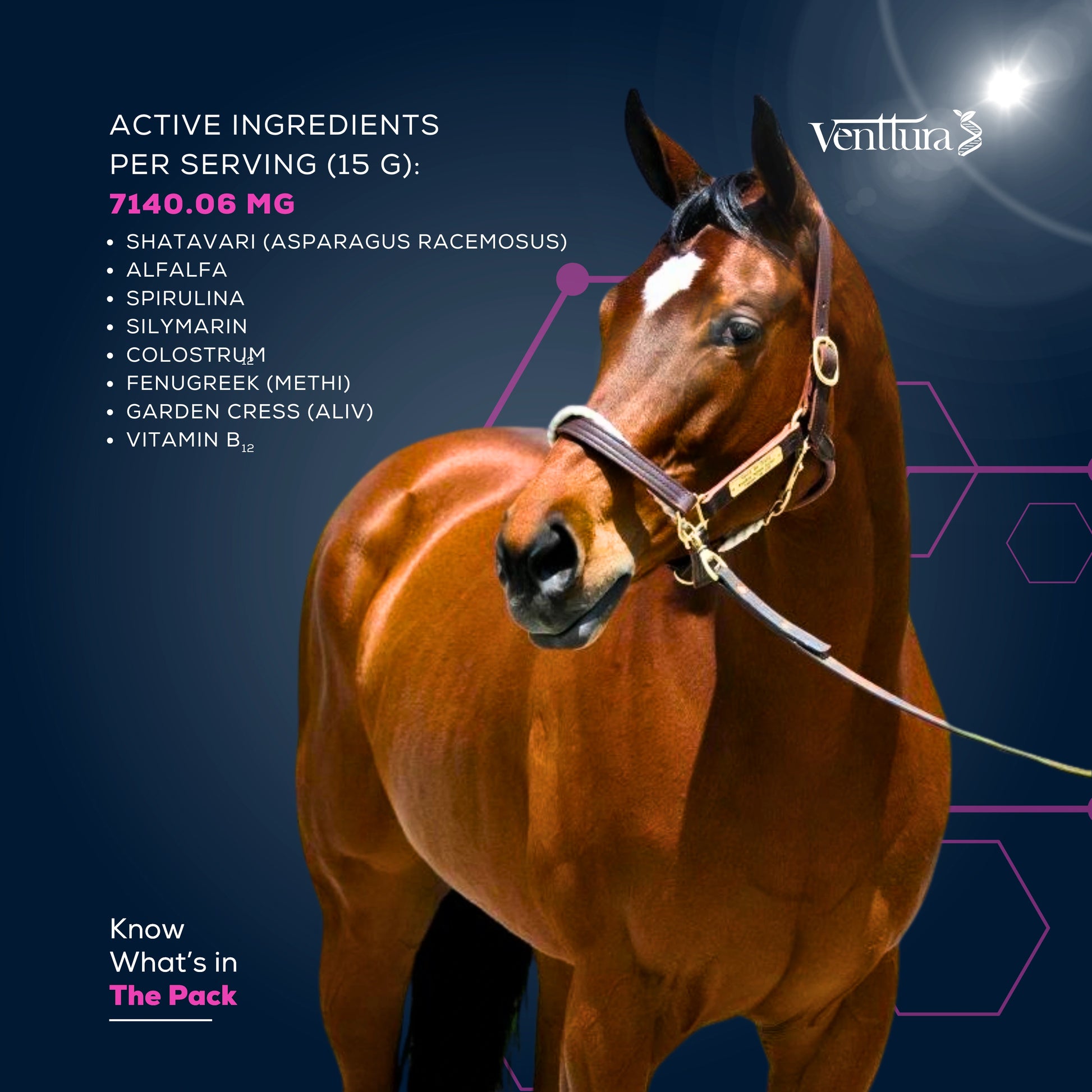 A brown horse standing next to the active ingredients of Equilac+ lactation supplement for horse 
active ingredients
Shatavar (asparagus racemosus)
alfalfa
silymarin
colostrum
fenugreek (methi)
garden cress (aliv)
vitamin B
know whats in the pack