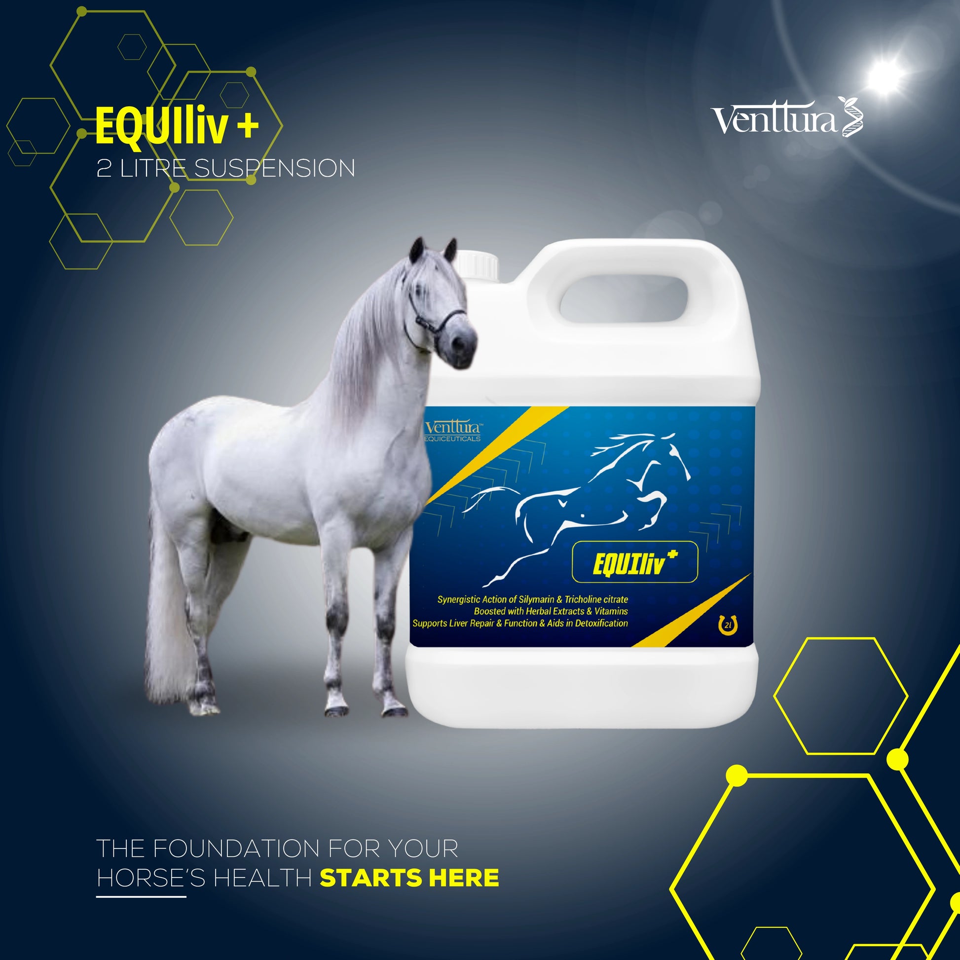 A white horse standing next to equiliv liver supplement horse can 
the foundation for your horse health starts here by venttura bicoeuticals