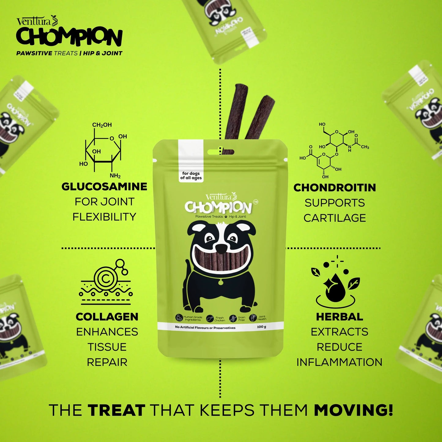 Venttura Chompion Pawsitive Treats for Dogs – Hip & Joint