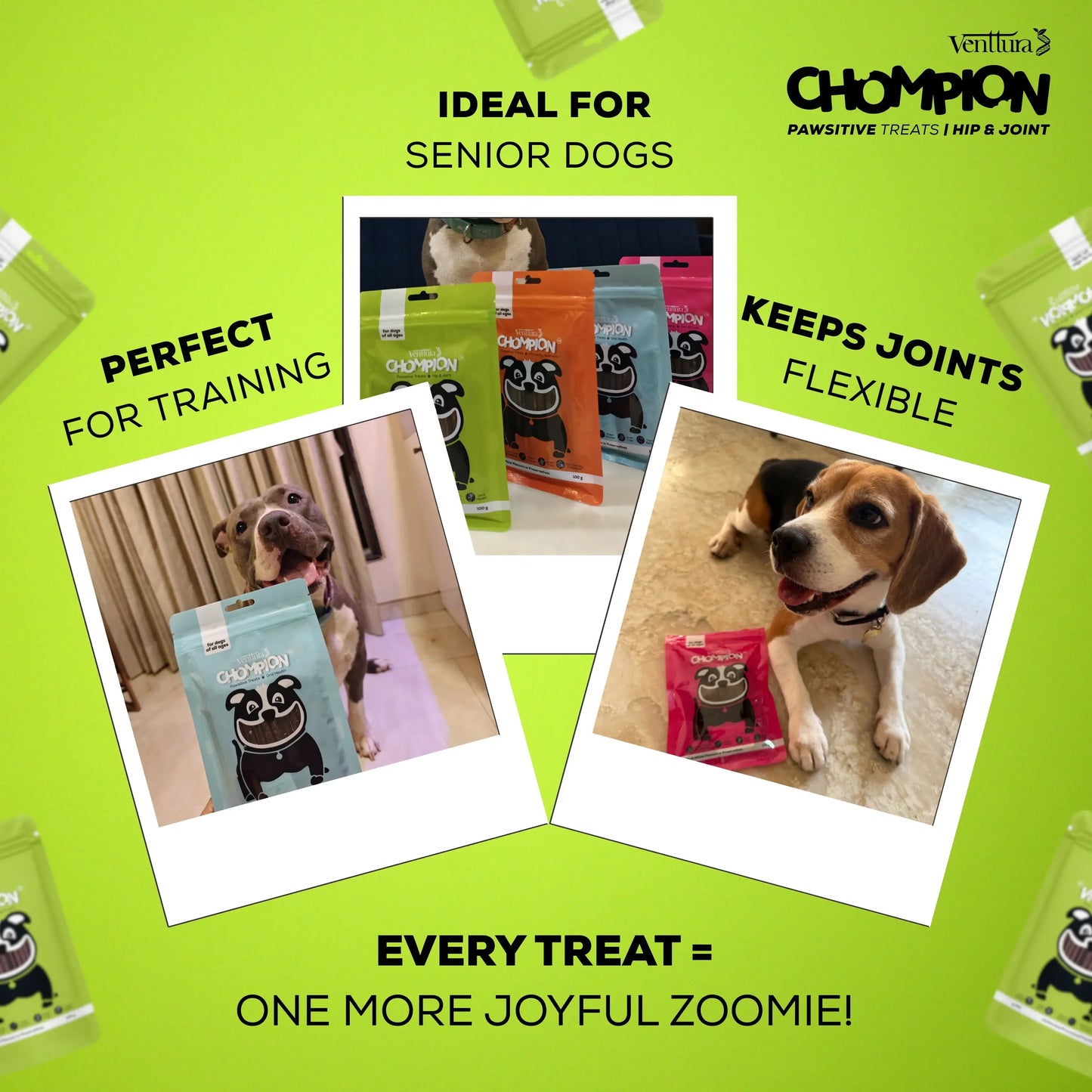Venttura Chompion Pawsitive Treats for Dogs – Hip & Joint