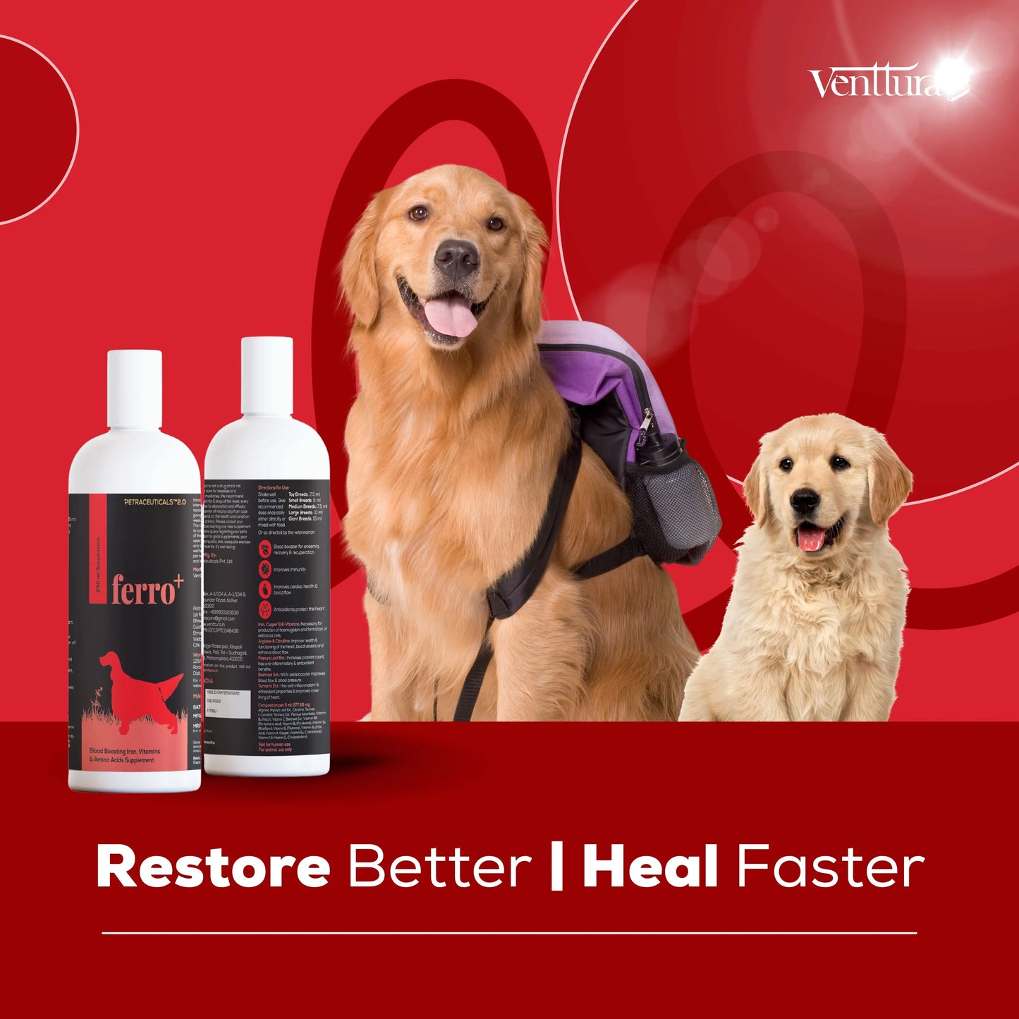 Two happy dogs with Venttura Ferro+ supplement bottle, highlighting benefits like faster healing and overall health restoration for dogs.