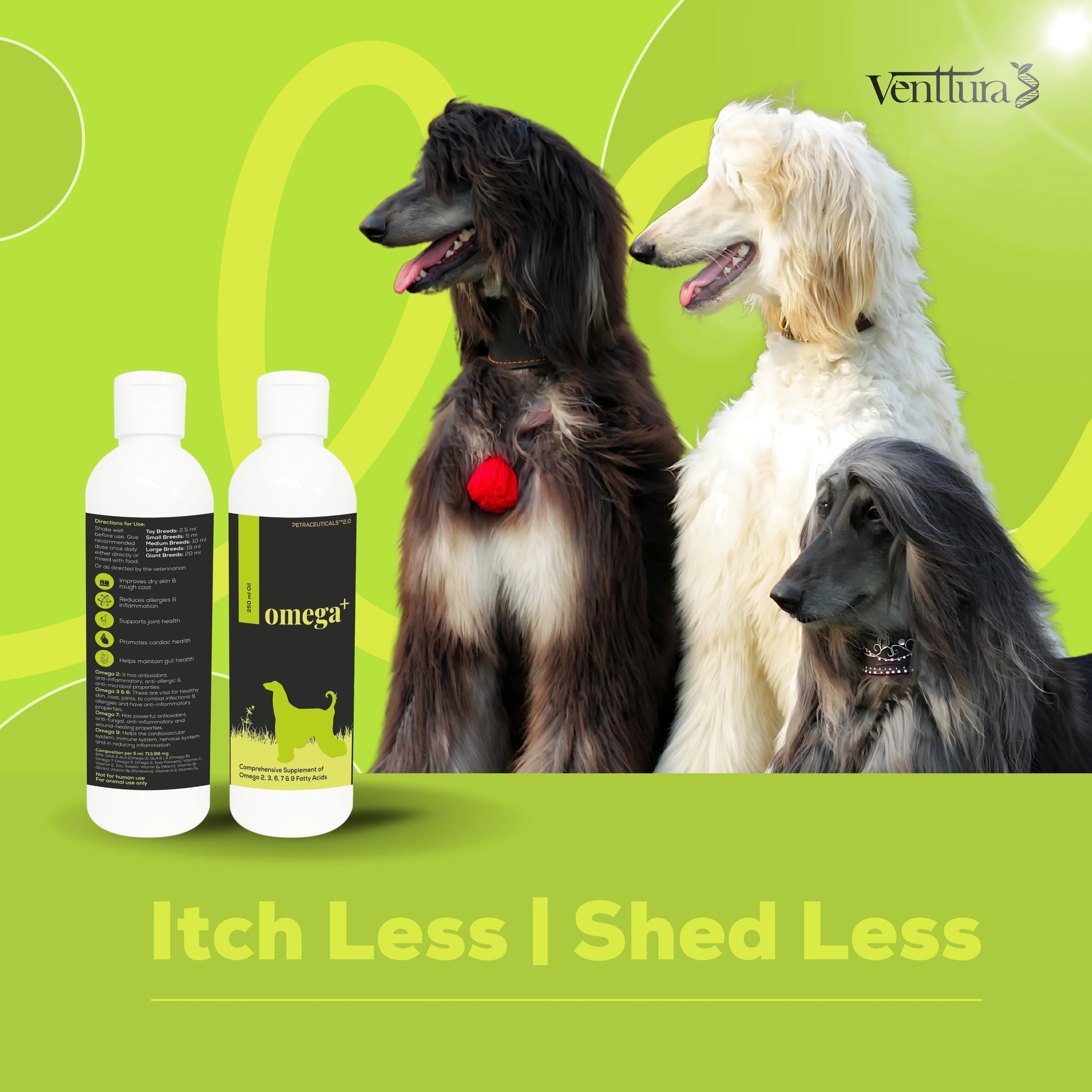 Three well-groomed dogs with shiny coats posing beside Venttura’s Omega+ supplement bottle. Text on the image reads: 'Itch less, shed less'.