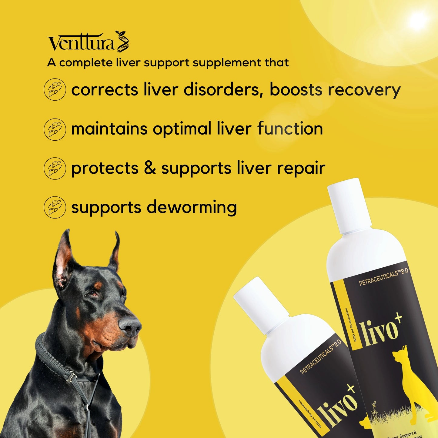 Livo+ | Healthy Liver | Healthy Appetite
