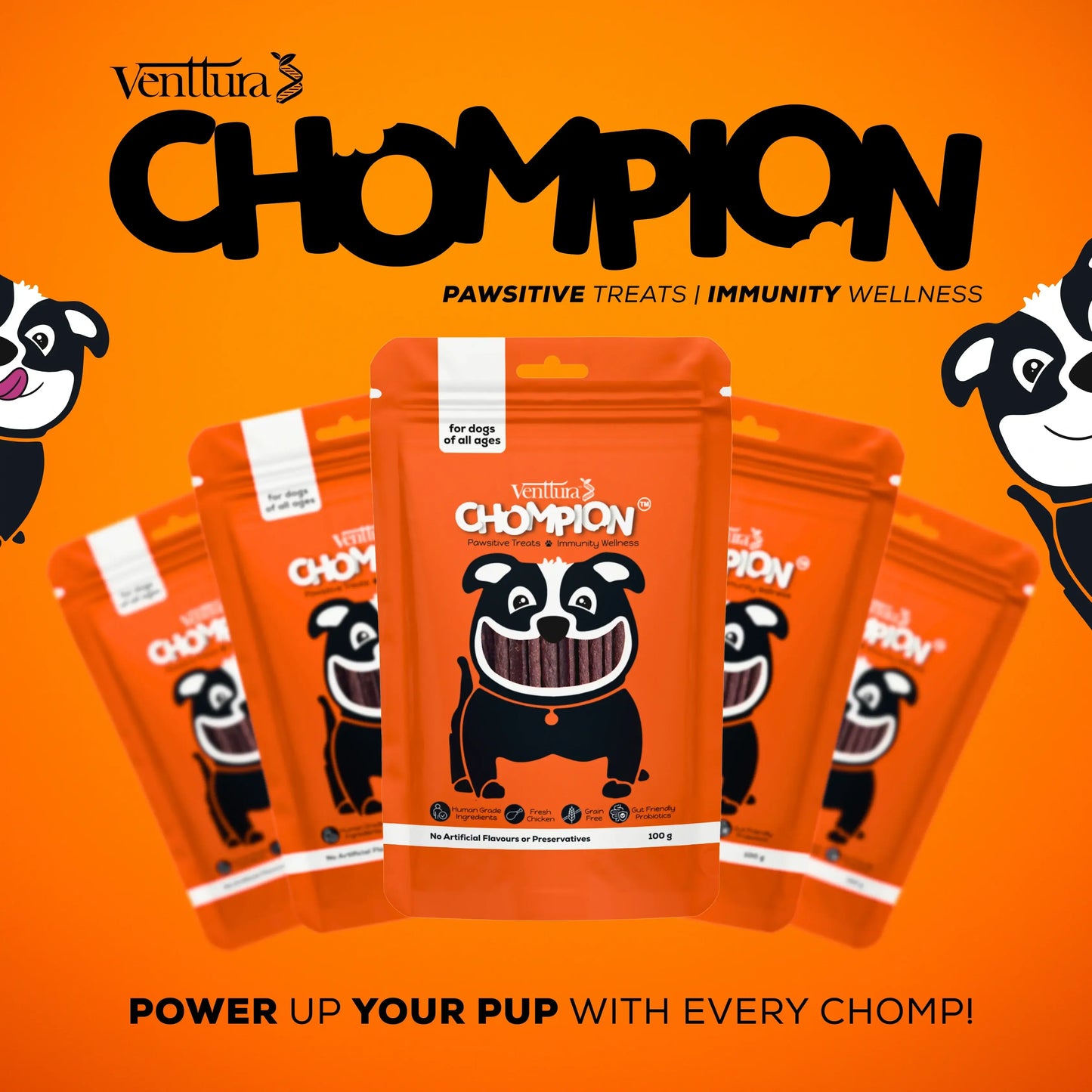 Venttura Chompion Pawsitive Treats for Dogs – Immunity Wellness