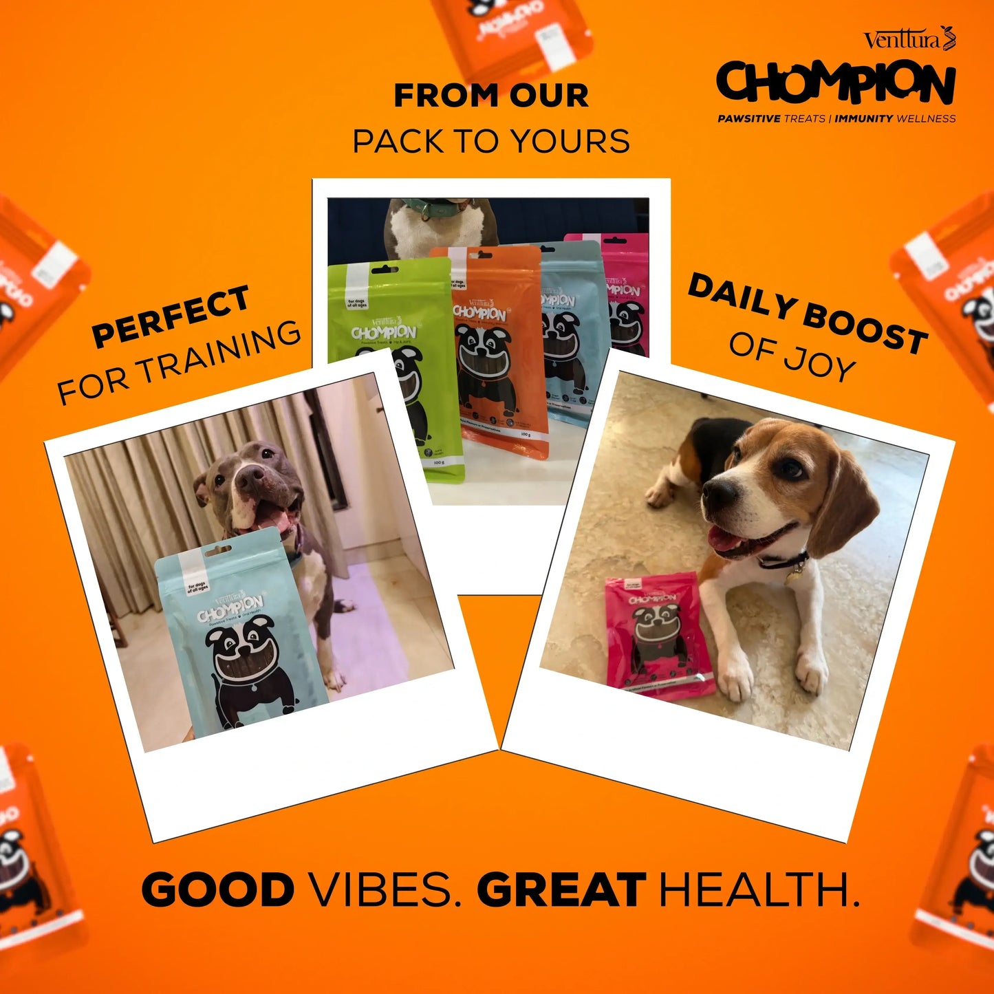 Venttura Chompion Pawsitive Treats for Dogs – Immunity Wellness