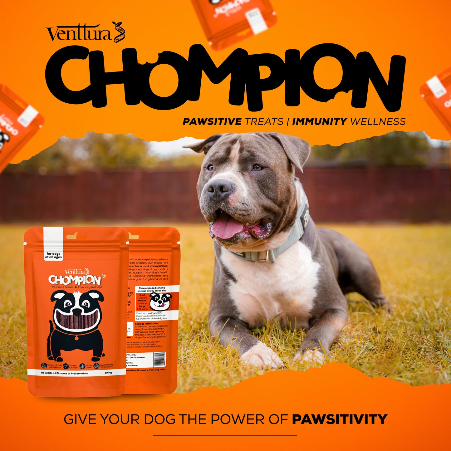 Immunity & Wellness Combo for Dogs – Immuno+ Supplement & Chompion Treats For Immunity & Wellness