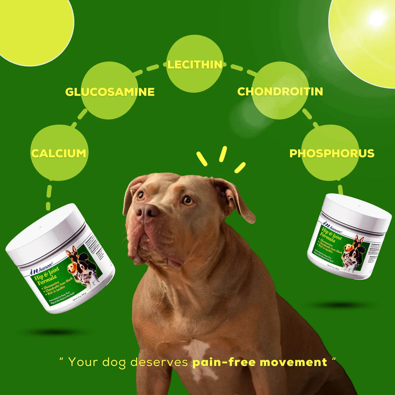 INhancer by Venttura Bioceuticals - supports dogs with arthritis, hip and elbow dysplasia, and recovery from orthopedic surgery.