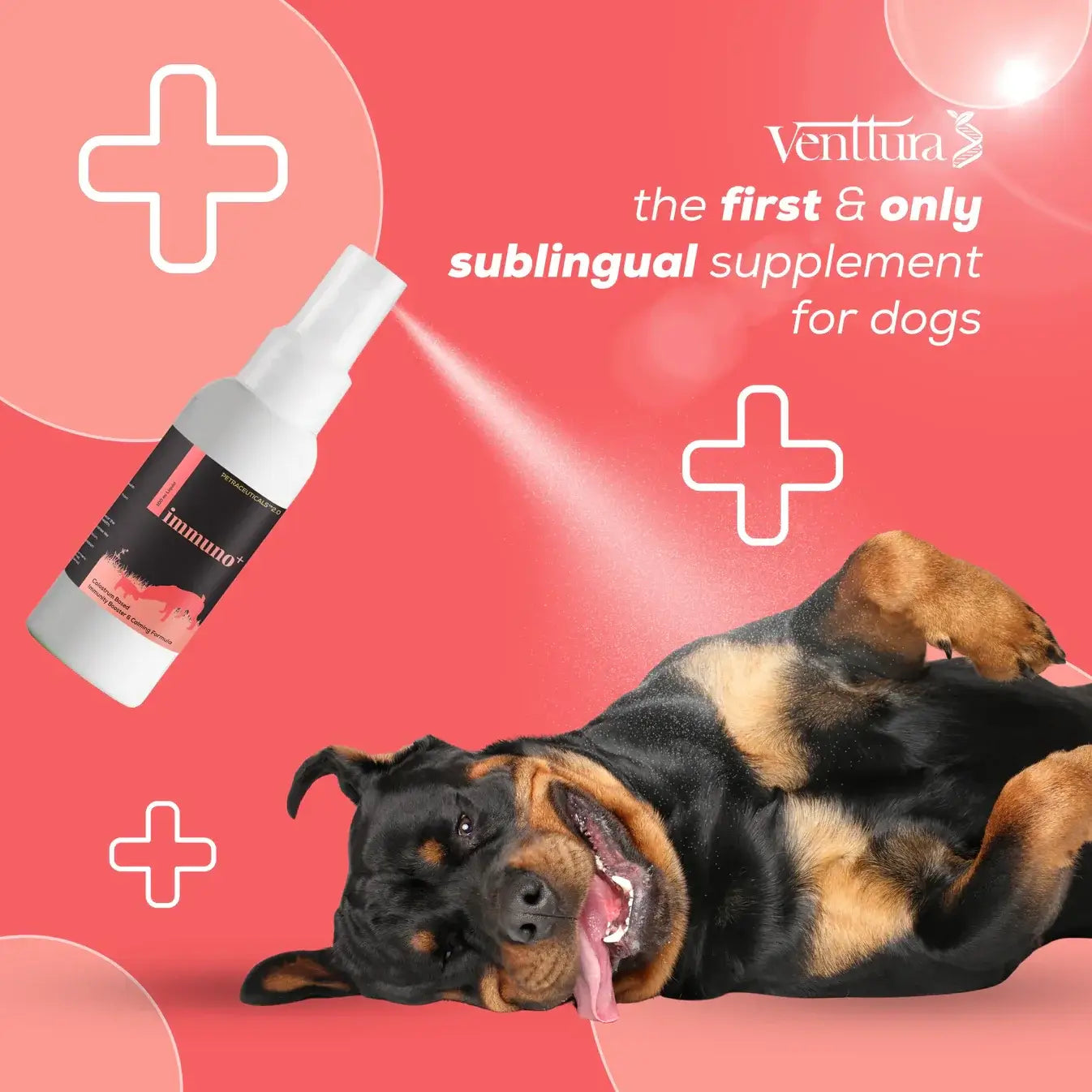 Immuno+ by Venttura Bioceuticals promoting calming, boosting immunity, and supporting digestive health in dogs