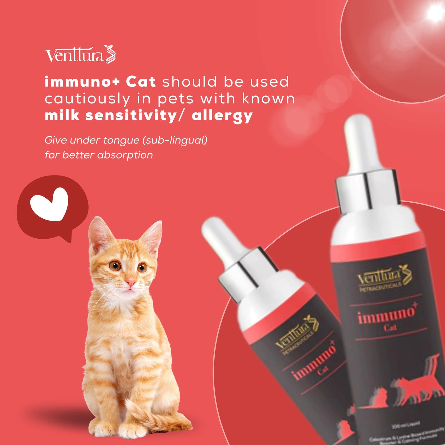 Venttura Immuno+ Cat supplement bottle surrounded by its benefits, including immunity boosting, antioxidant protection, calming effects, and anti-inflammatory support for cats