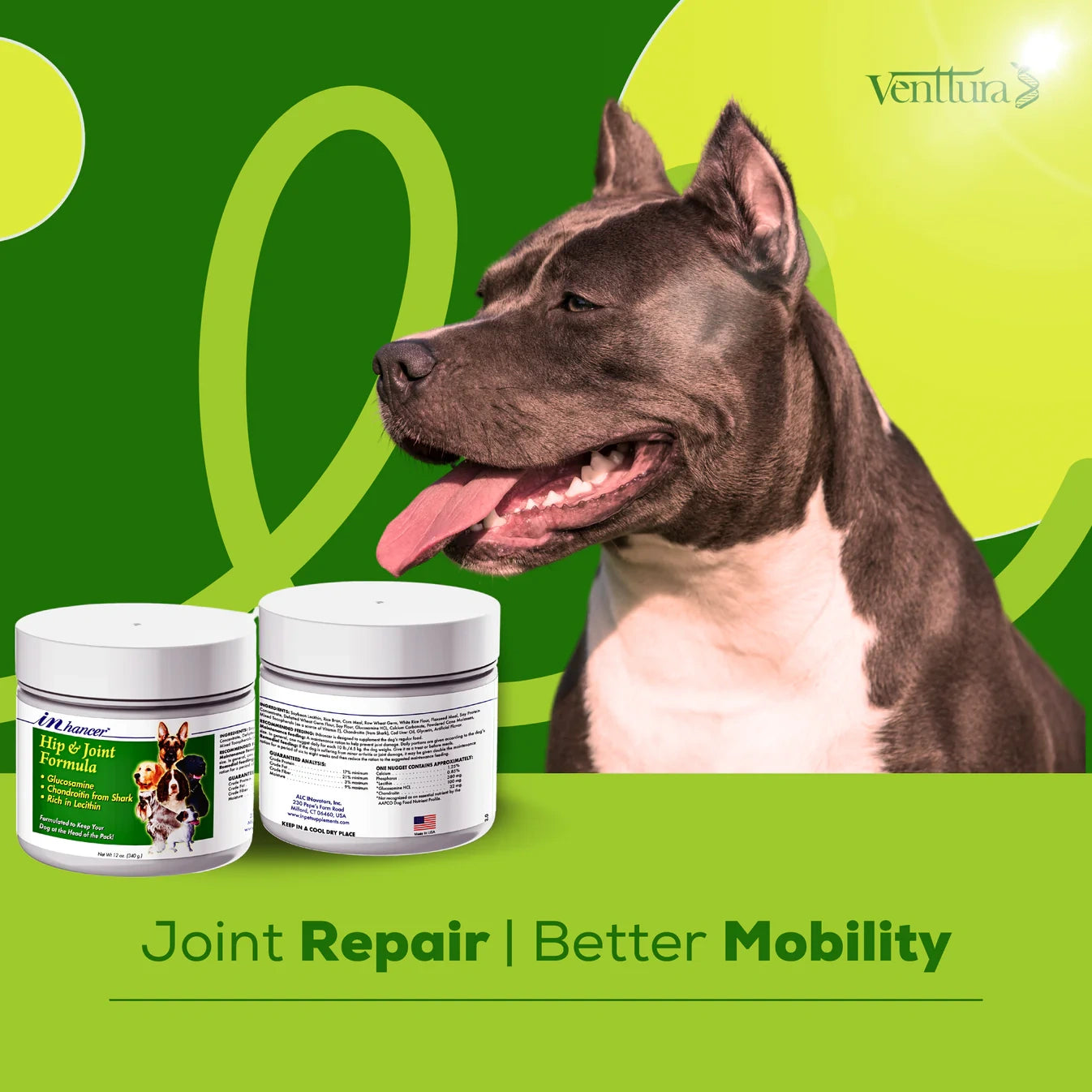 Venttura INhancer soft nuggets with a Pitbull. A joint supplement for dogs designed to repair joints and promote better muscle support and overall mobility.