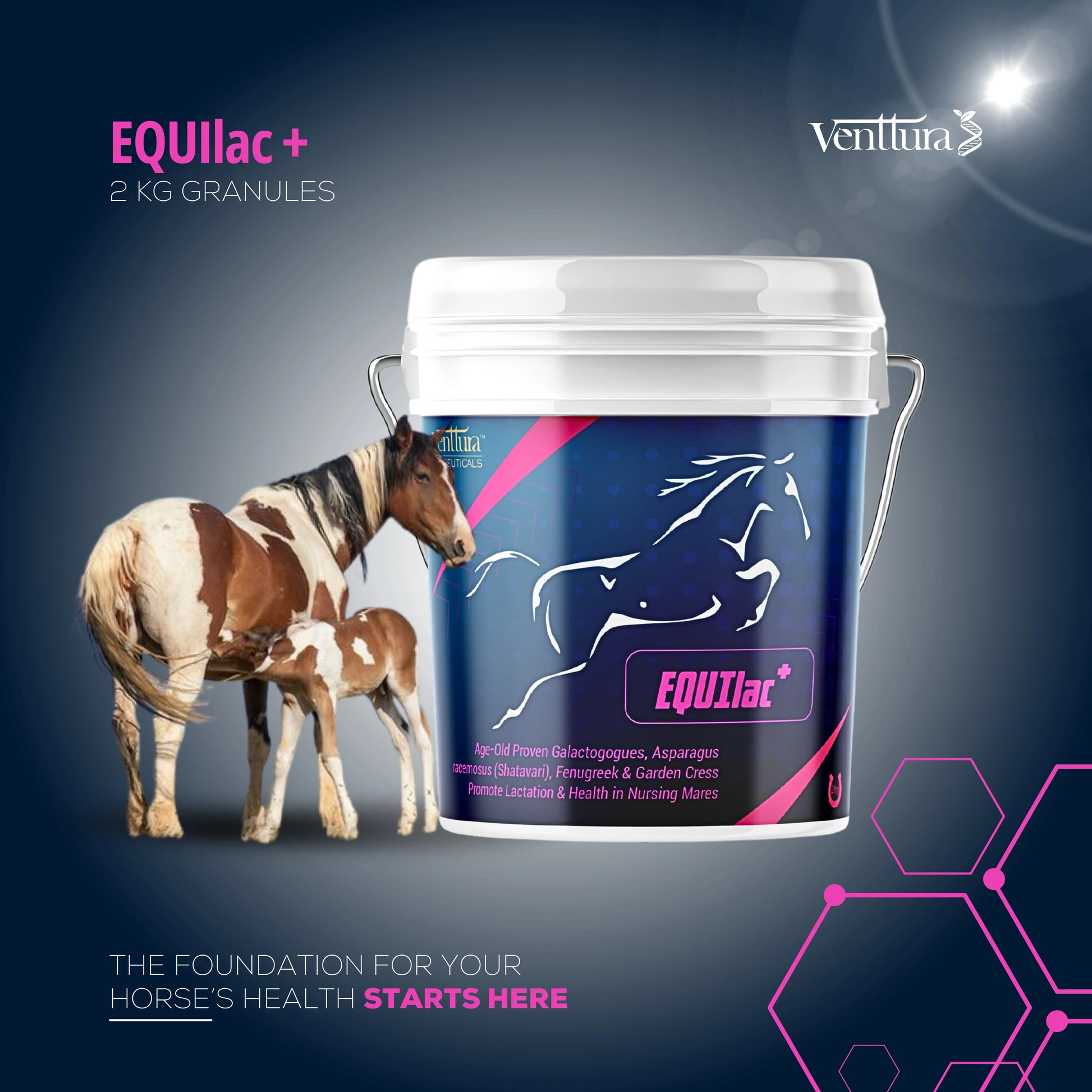 A nursing mare and her foal standing next to the Equilac+ lactation supplement for horse can
the foundation for your horse's health starts here