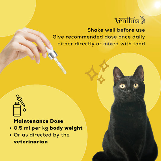 Livo+ Cat supplement benefits include repairing, regenerating, and protecting the liver, supporting vaccination, deworming, and antibiotics, and promoting urinary system health