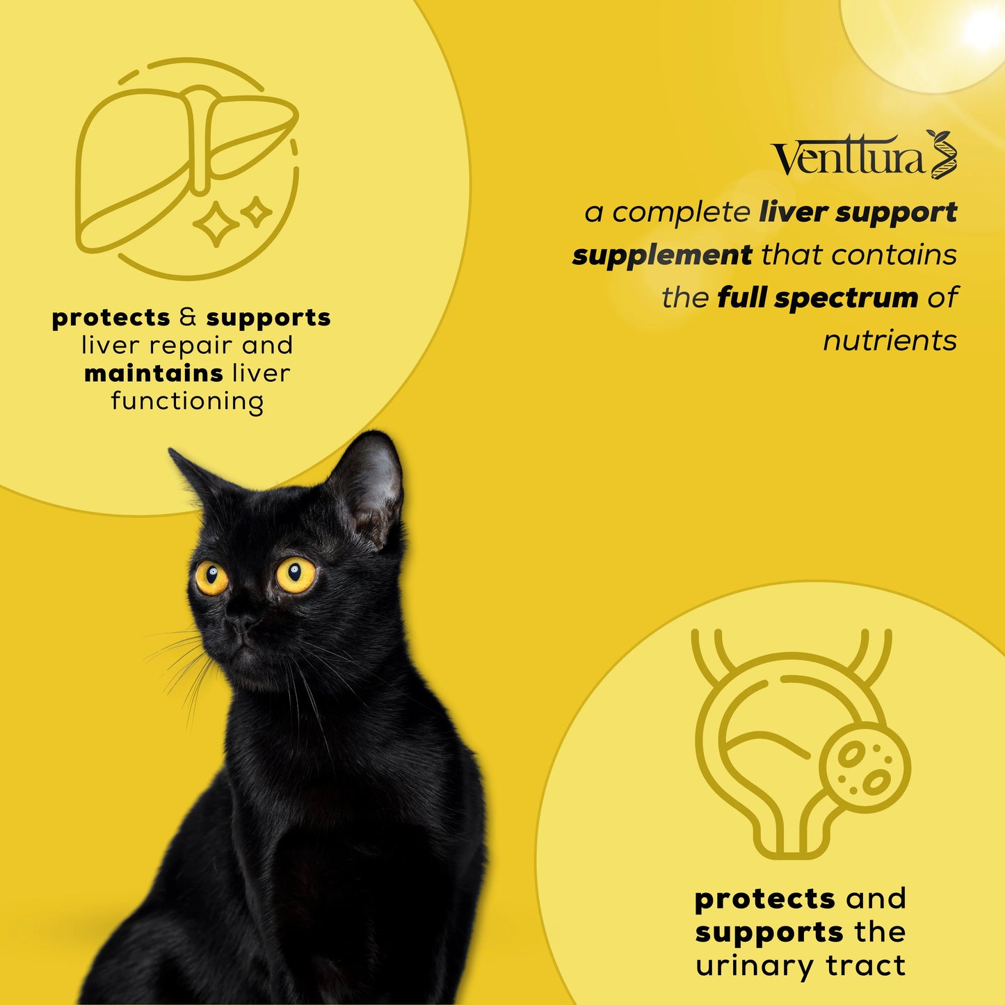 Venttura Livo+ Cat supplement bottle surrounded by its benefits, featuring liver function support, detoxification, urinary system health, and free radical protection for cats.