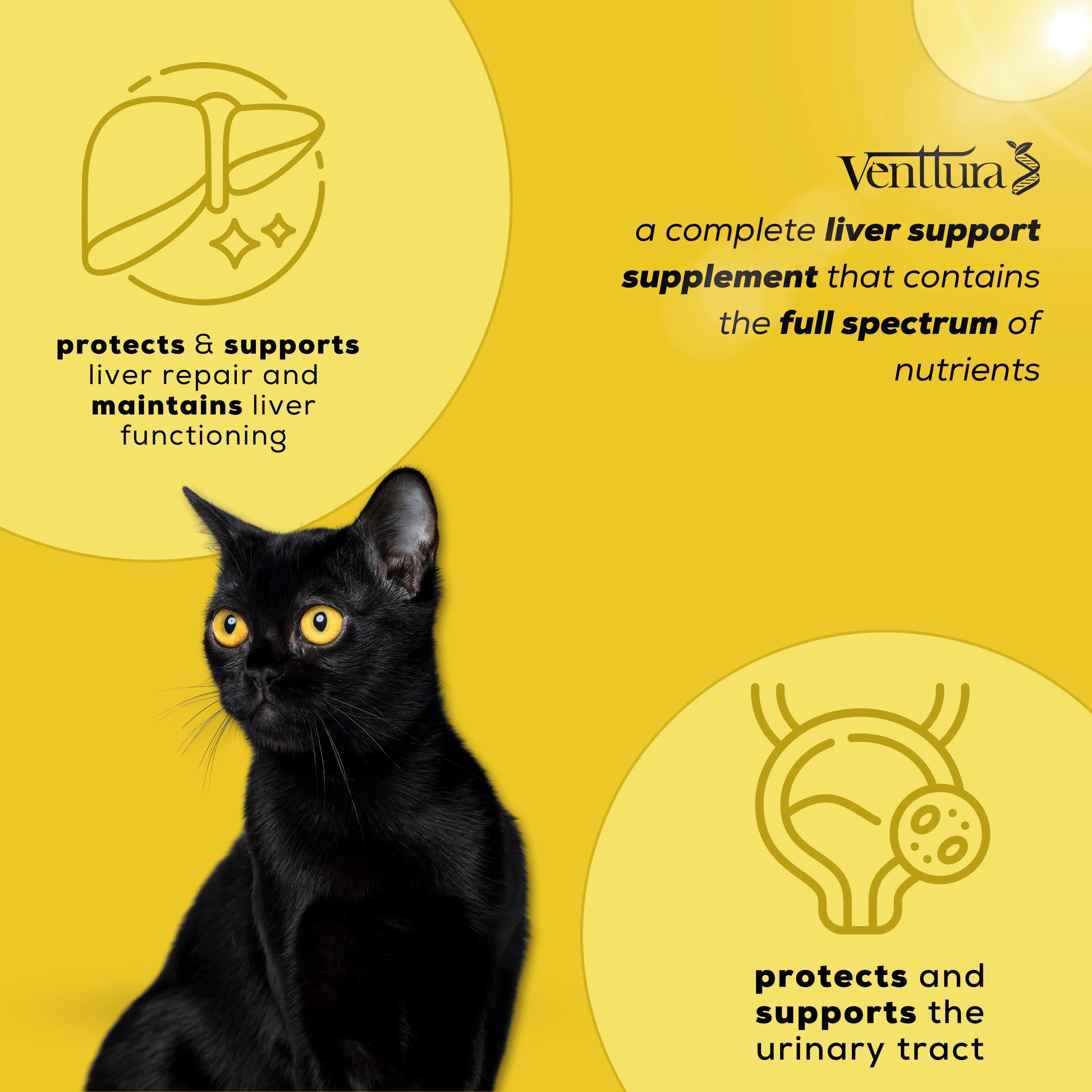 Venttura Livo+ Cat supplement bottle surrounded by its benefits, featuring liver function support, detoxification, urinary system health, and free radical protection for cats.