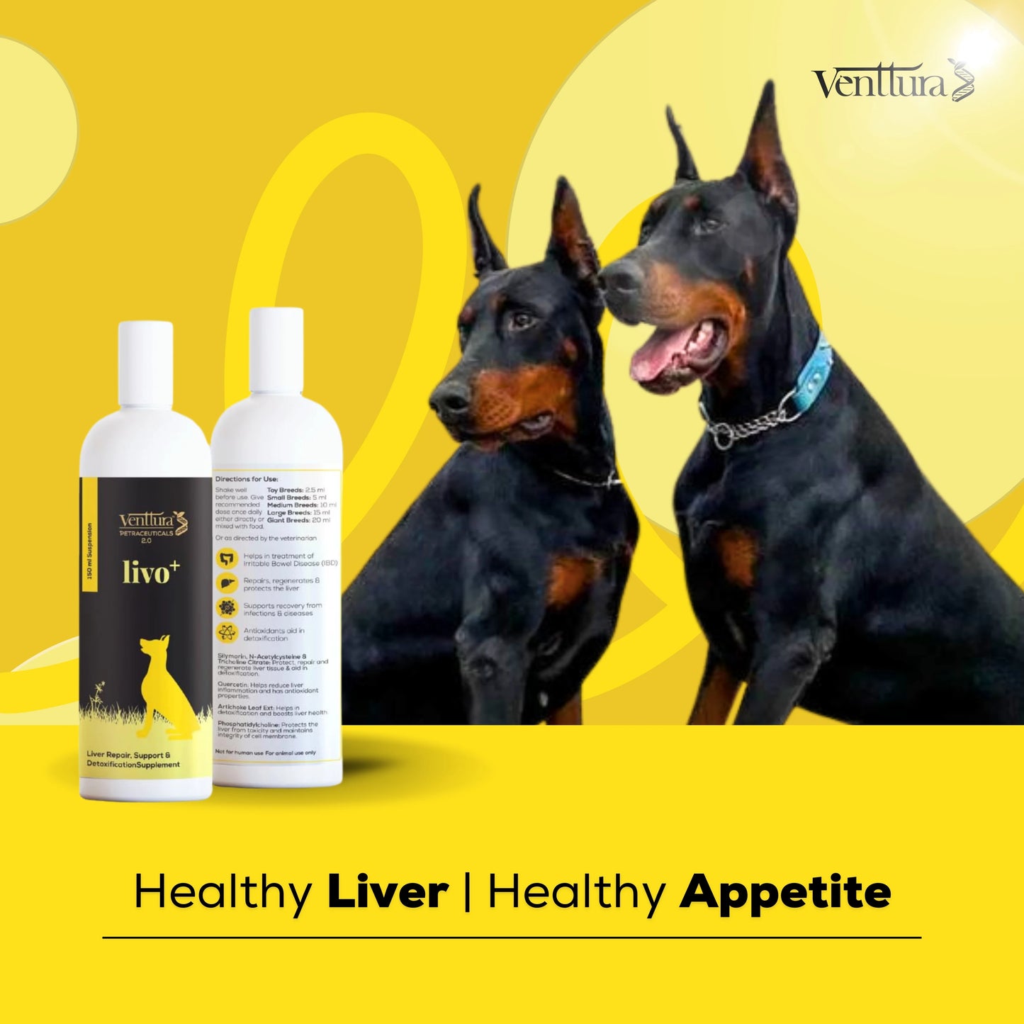 Two dogs sitting with the benefits of Livo+ liver support supplement by Venttura Bioceuticals - repairs and protects the liver, boosts recovery, supports deworming, and detoxifies