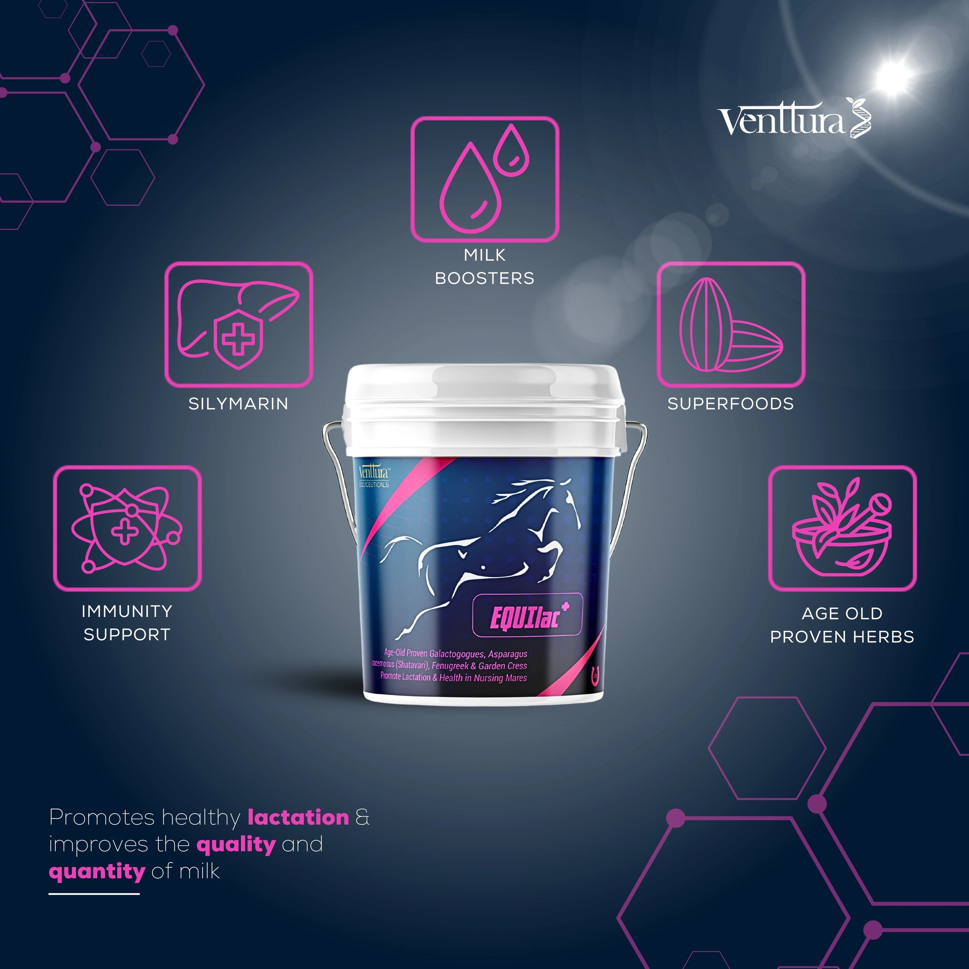 A mother horse with her foal surrounded by the benefits of EQUIlac+ supplement, including improved milk quality and quantity, lactation support, and uterine health