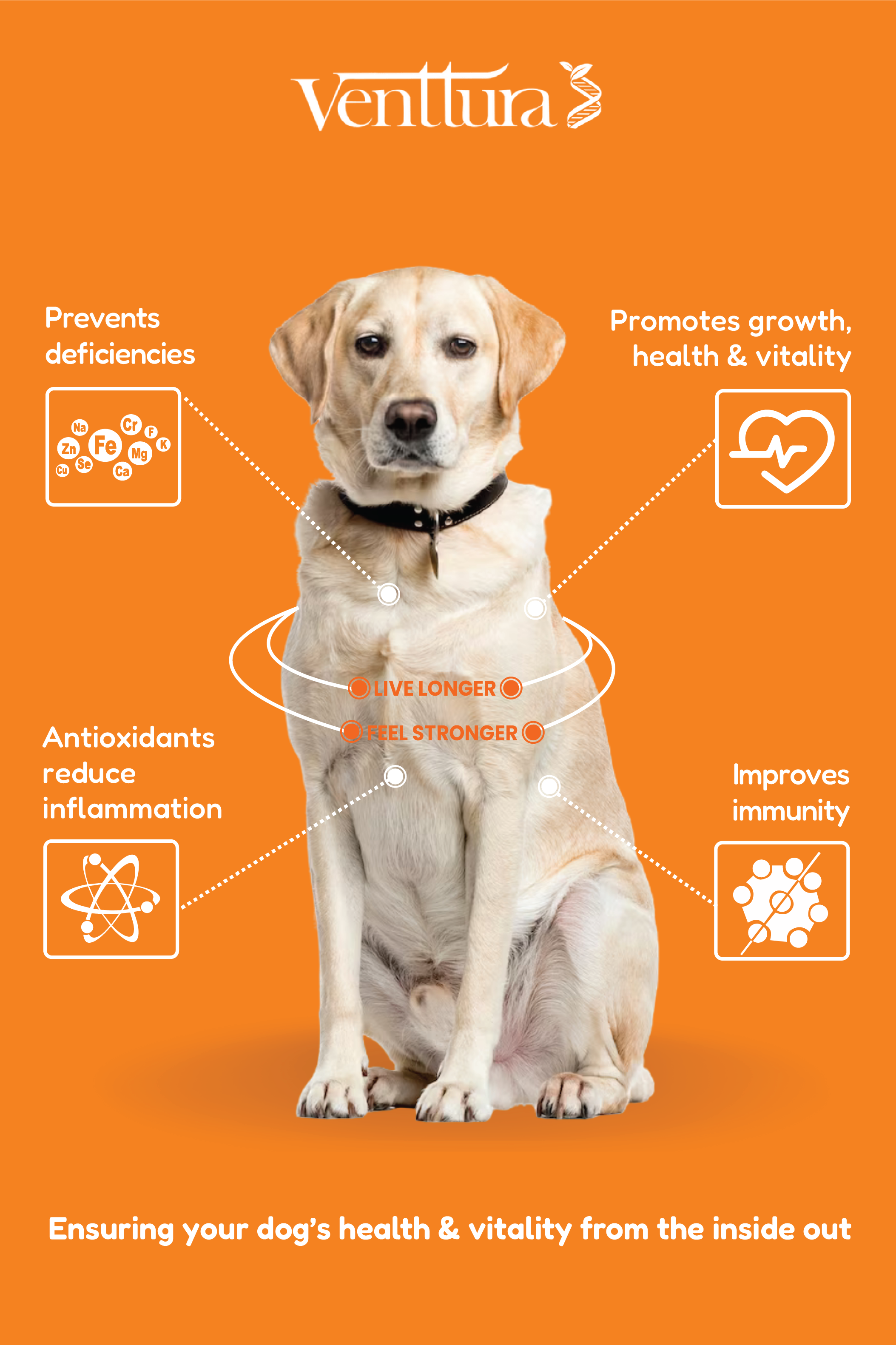 High-quality pet care products for immunity