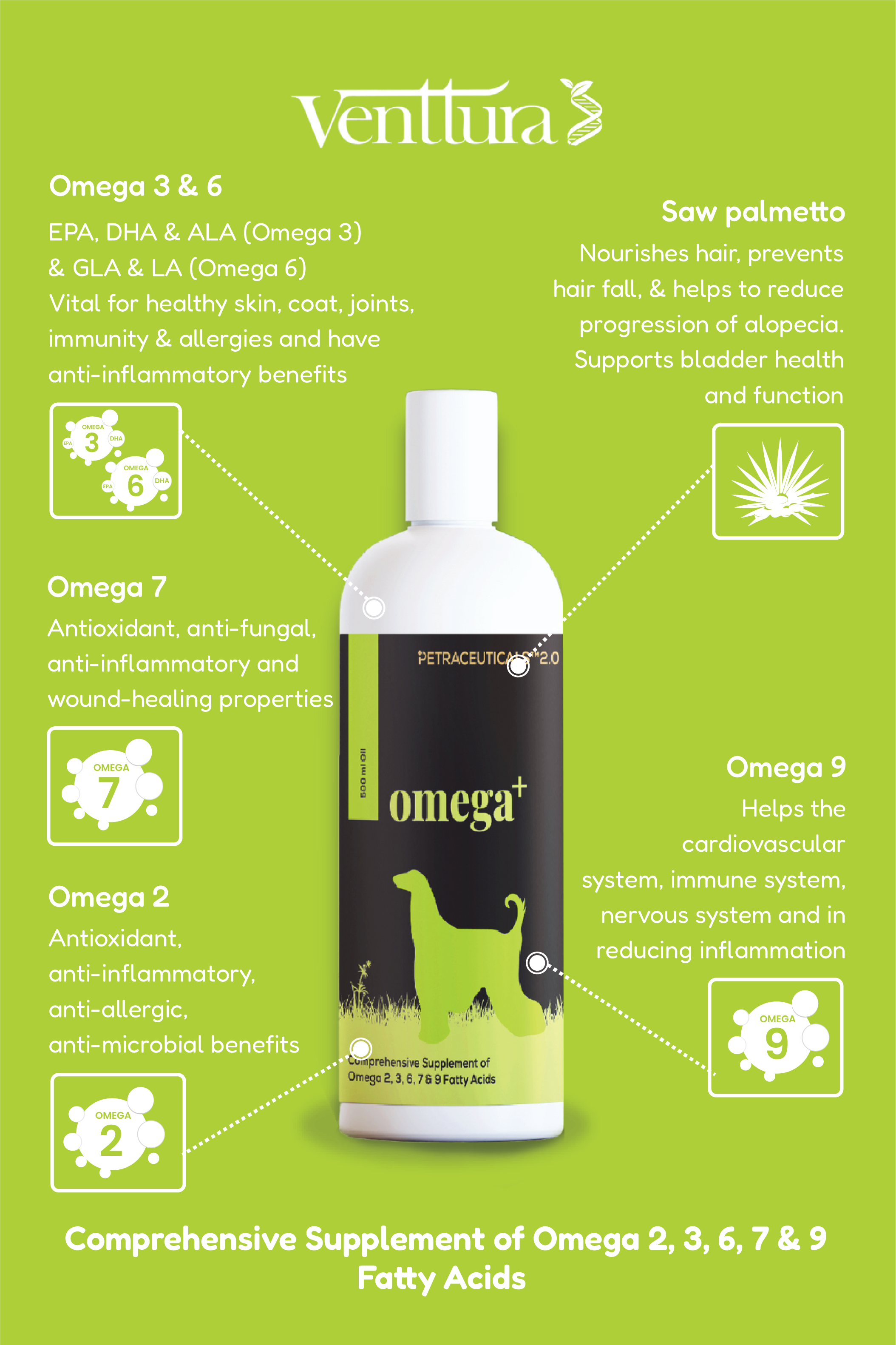 Best Omega 3 Supplements for Dogs