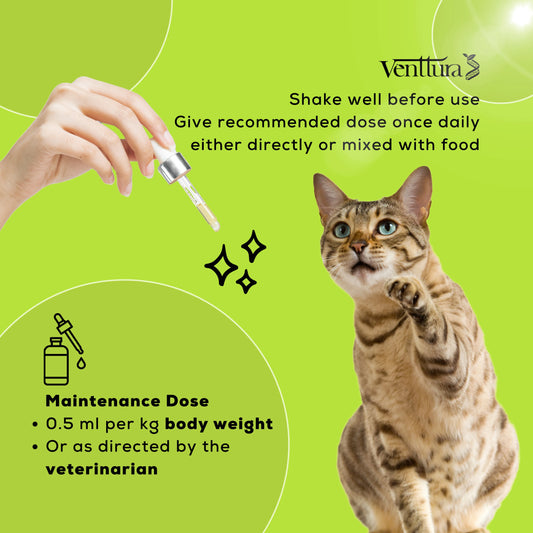 Venttura Omega+ Cat supplement bottle with benefits overlay, featuring skin and coat health, joint support, and allergy reduction for cats.