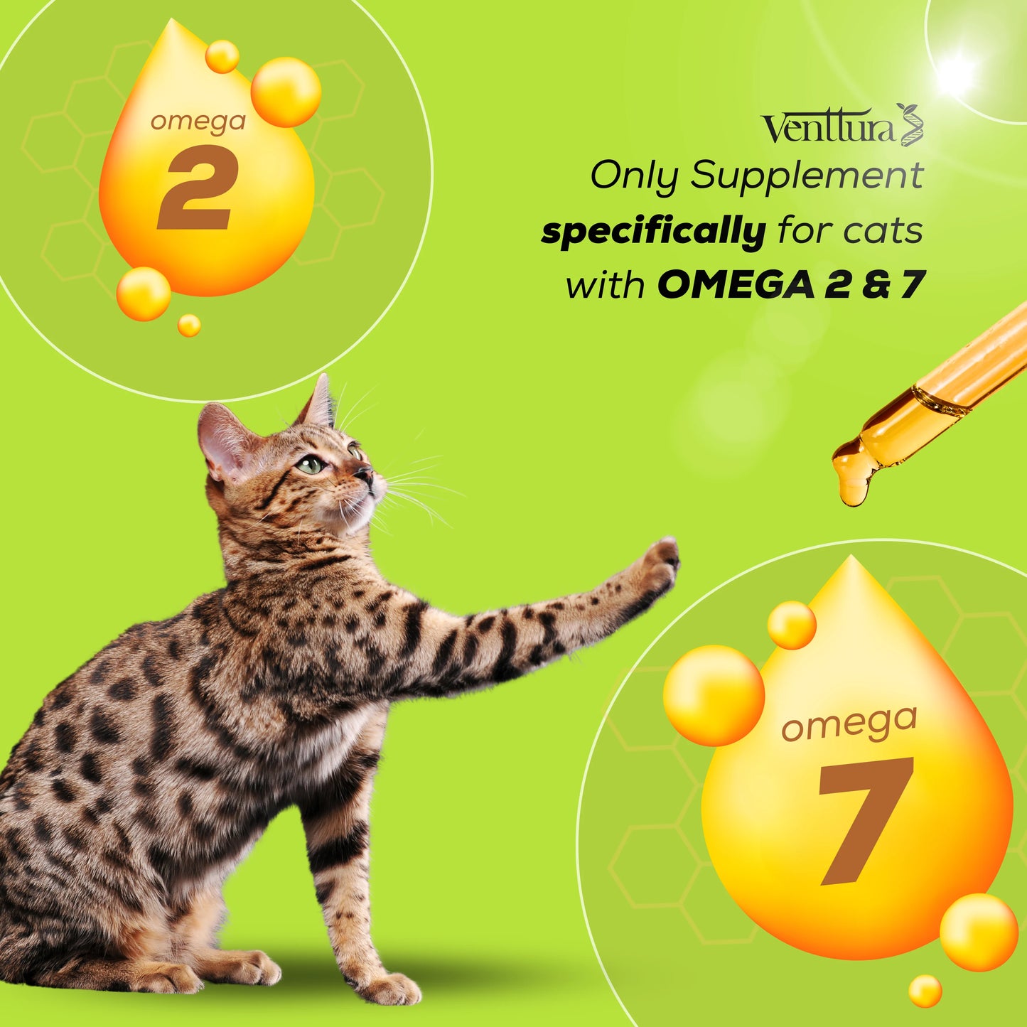 Venttura Omega+ Cat supplement highlighting benefits for shiny, supple skin, glossy coat, allergy support, and joint health in cats