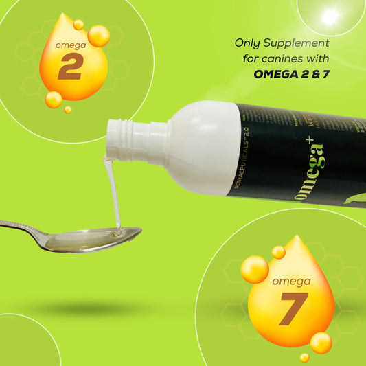 Omega+ supplement for dogs by Venttura Bioceuticals - enhances skin and coat health, reduces allergies, and supports joints