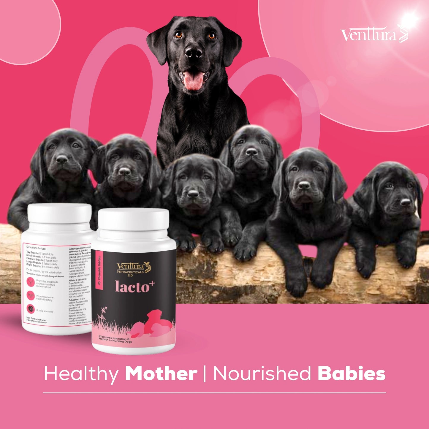 Lacto+ | Healthy Mother | Nourished Babies