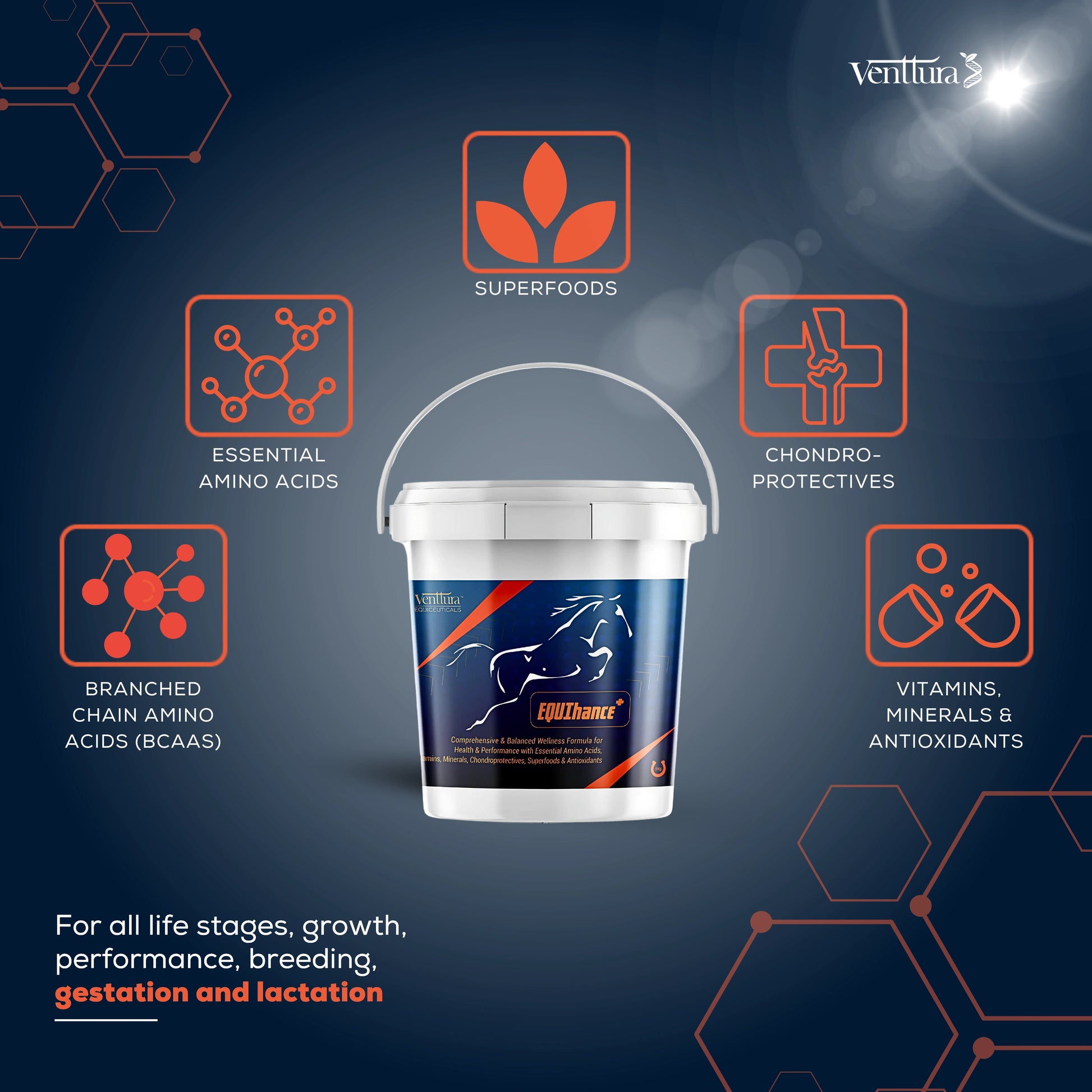 A shiny black horse jumping with an overlay showcasing the benefits of EQUIhance+ supplement, including growth, muscle mass development, joint health, and performance support.