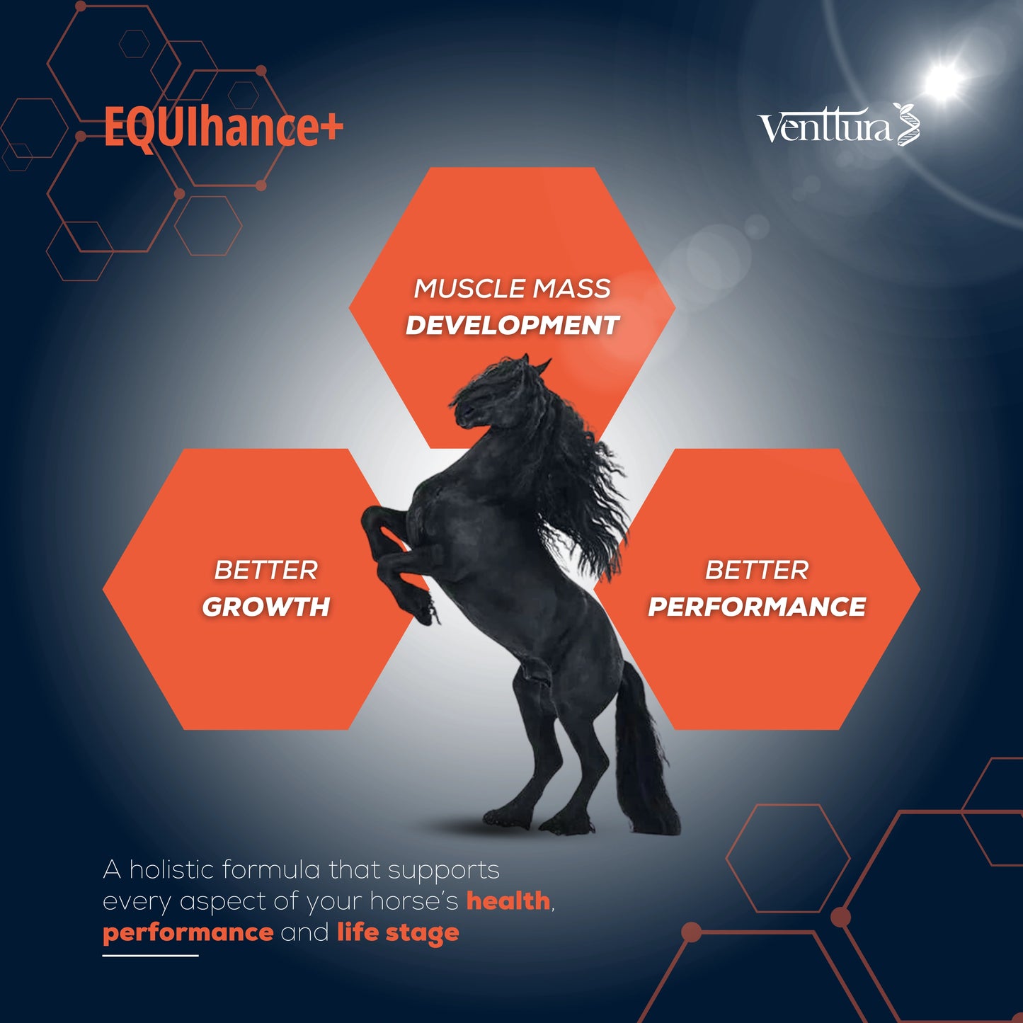 EQUIhance+ is a unique comprehensive supplement for horses, containing essential amino acids, chondroprotectives, vitamins, minerals, omega 3 & 6, glucosamine, aloe vera, superfoods, and antioxidants to support joint, metabolic, and overall health