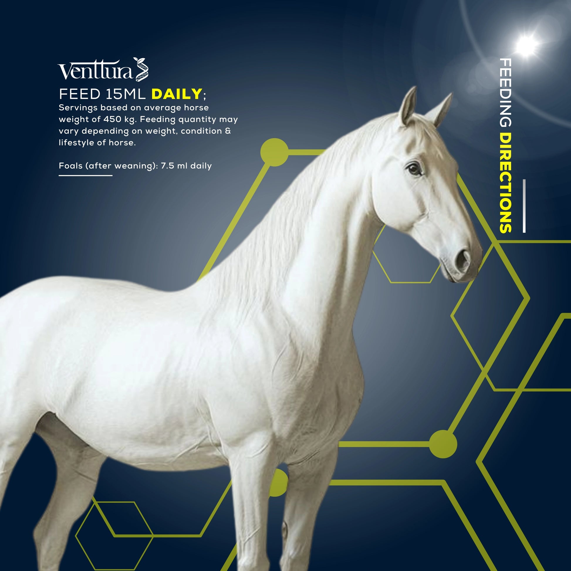 EQUIliv+ is the only holistic liver supplement specifically for horses, containing a complete range of liver function-boosting ingredients, antioxidants, and special nutrients to enhance bile production and flow.