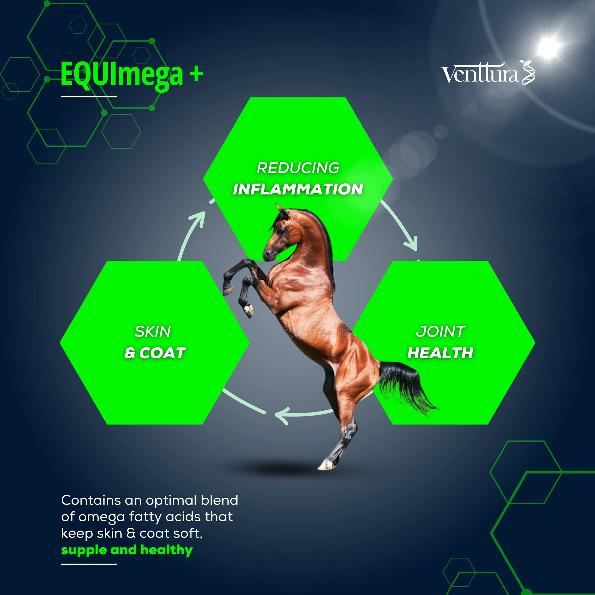 EQUImega+ is the only equine supplement with omega 2 & 7, along with a complete blend of omegas 2,3,6,7, and 9. It supports joint, skin, coat, and overall organ system health while providing anti-inflammatory benefits