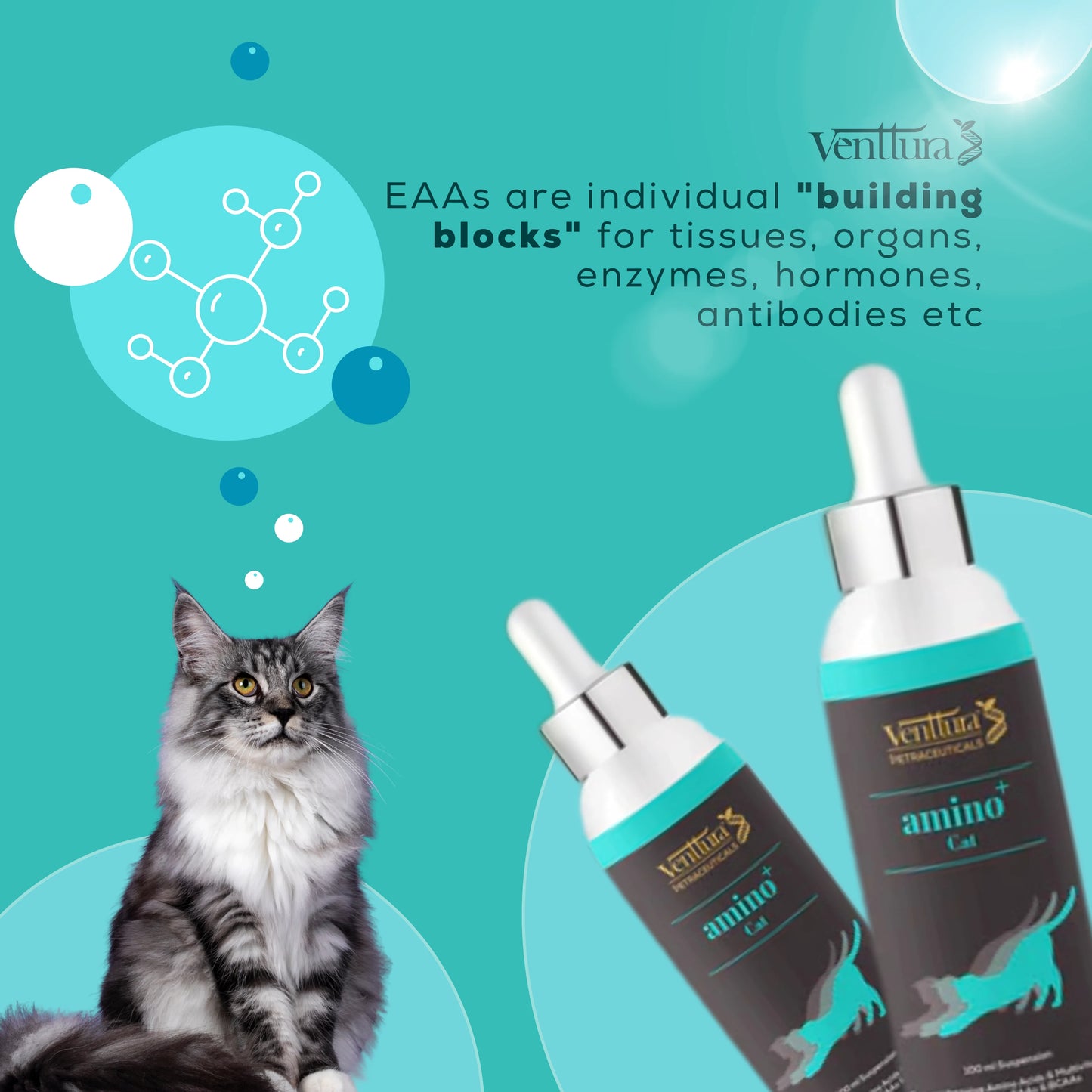 A cat sitting beside Venttura’s Amino+ supplement bottle. Text explains that EAAs (Essential Amino Acids) are the building blocks for tissues, organs, enzymes, hormones, and antibodies.
