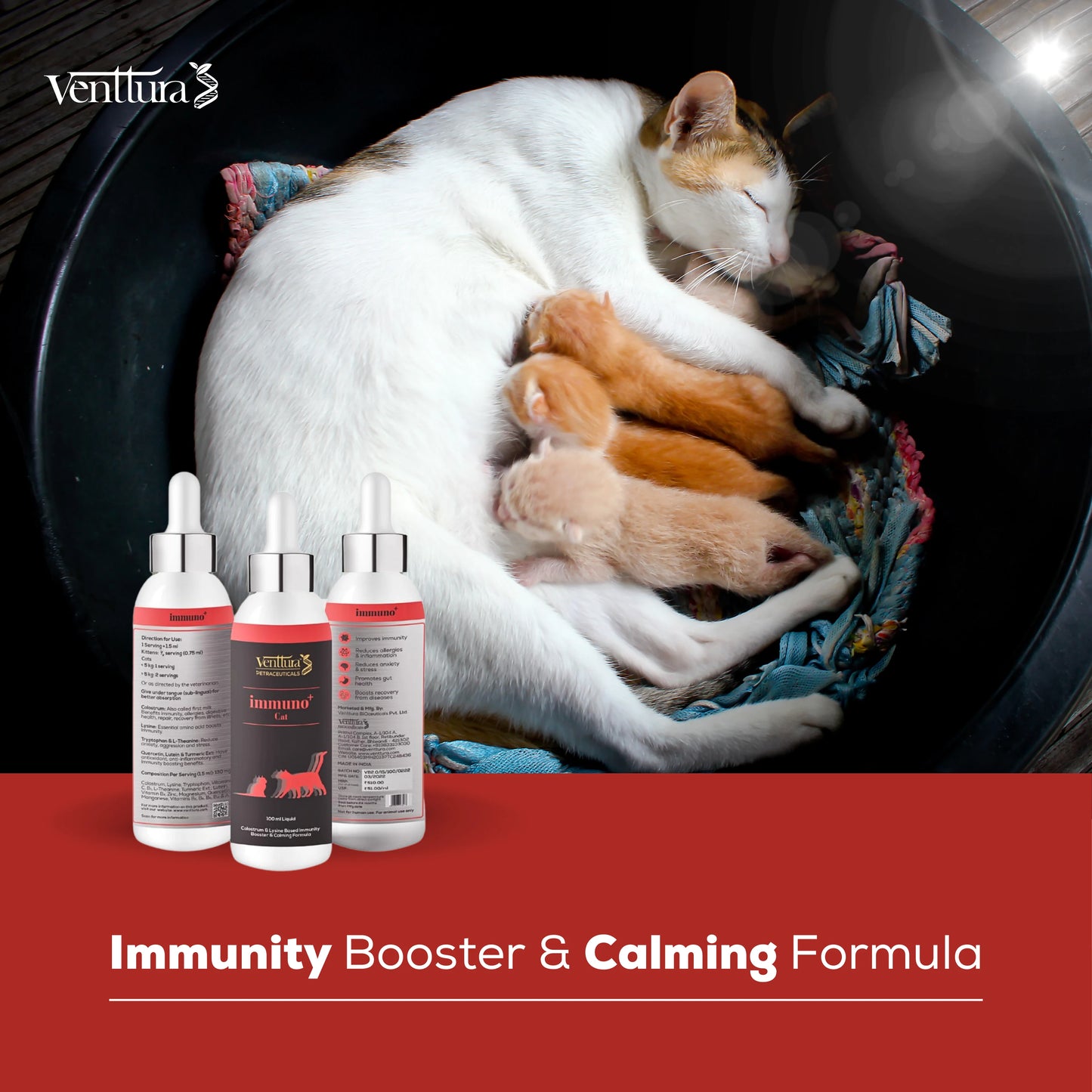 A mother car feeding her kittens with immuno+ cat immunity supplement bottle besides them
tagline is immunity booster and calming formula